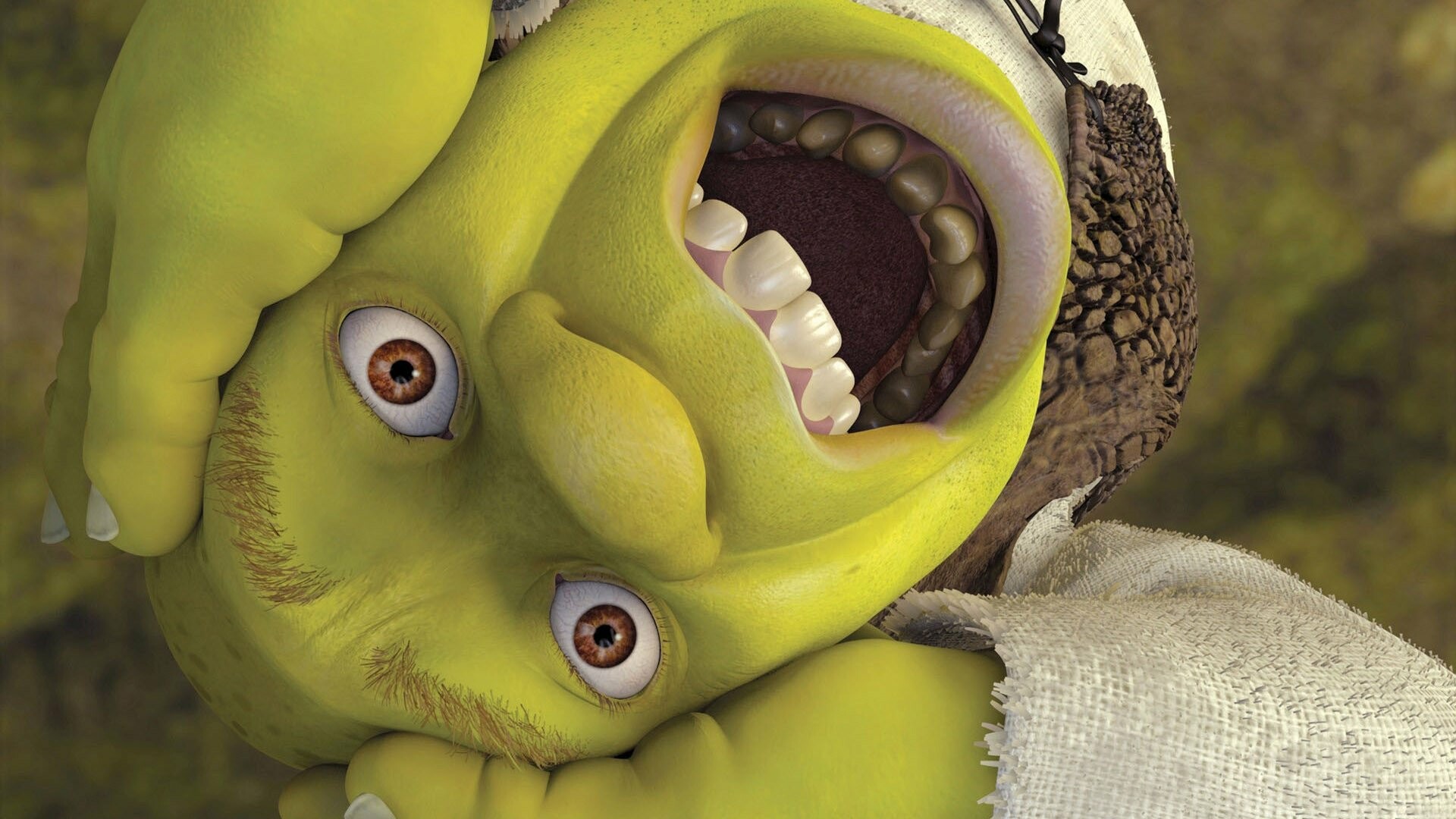 Shrek: Was made the mascot for the company's animation productions, DreamWorks Animation. 1920x1080 Full HD Background.