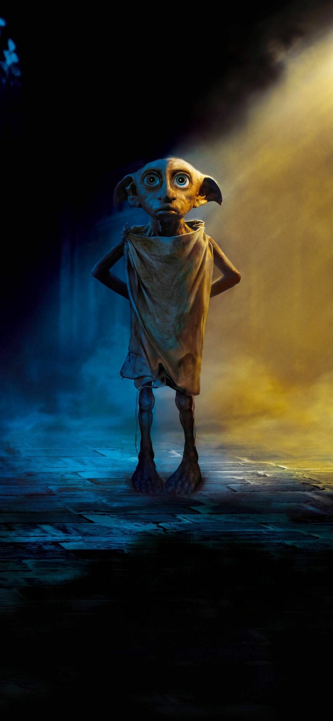 Harry Potter: Dobby, A supporting protagonist in the HP series. 1130x2440 HD Background.
