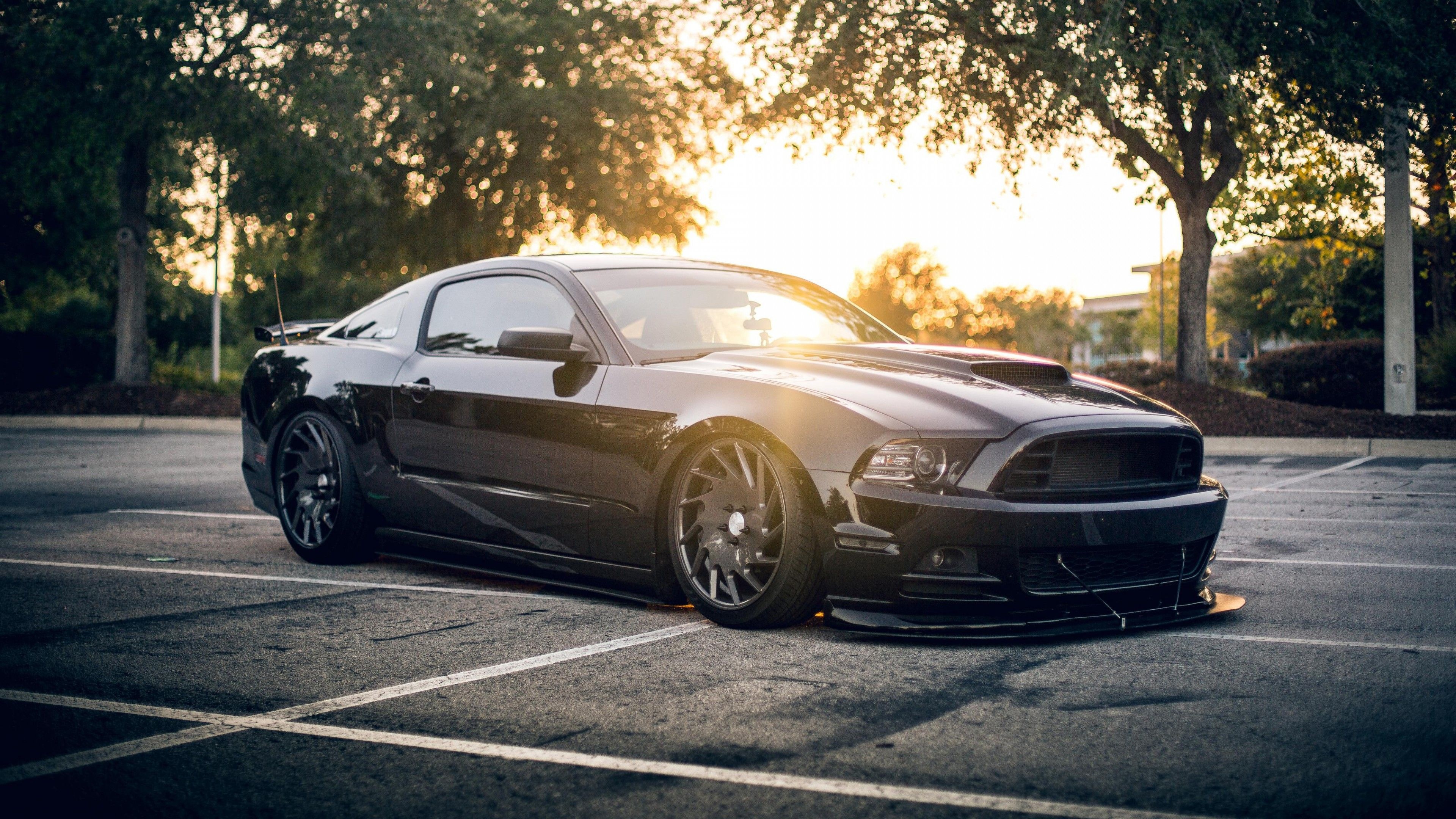 Mustang, High-resolution imagery, American icon, Auto enthusiast's dream, Horsepower, 3840x2160 4K Desktop