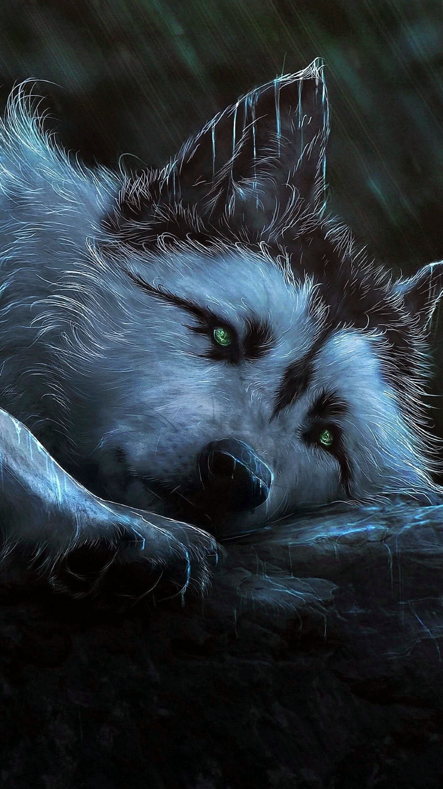 Wolf: Wolves live in forests, inland wetlands, shrublands, and grasslands, including Arctic tundra, pastures, deserts, and rocky peaks on mountains. 1410x2510 HD Background.
