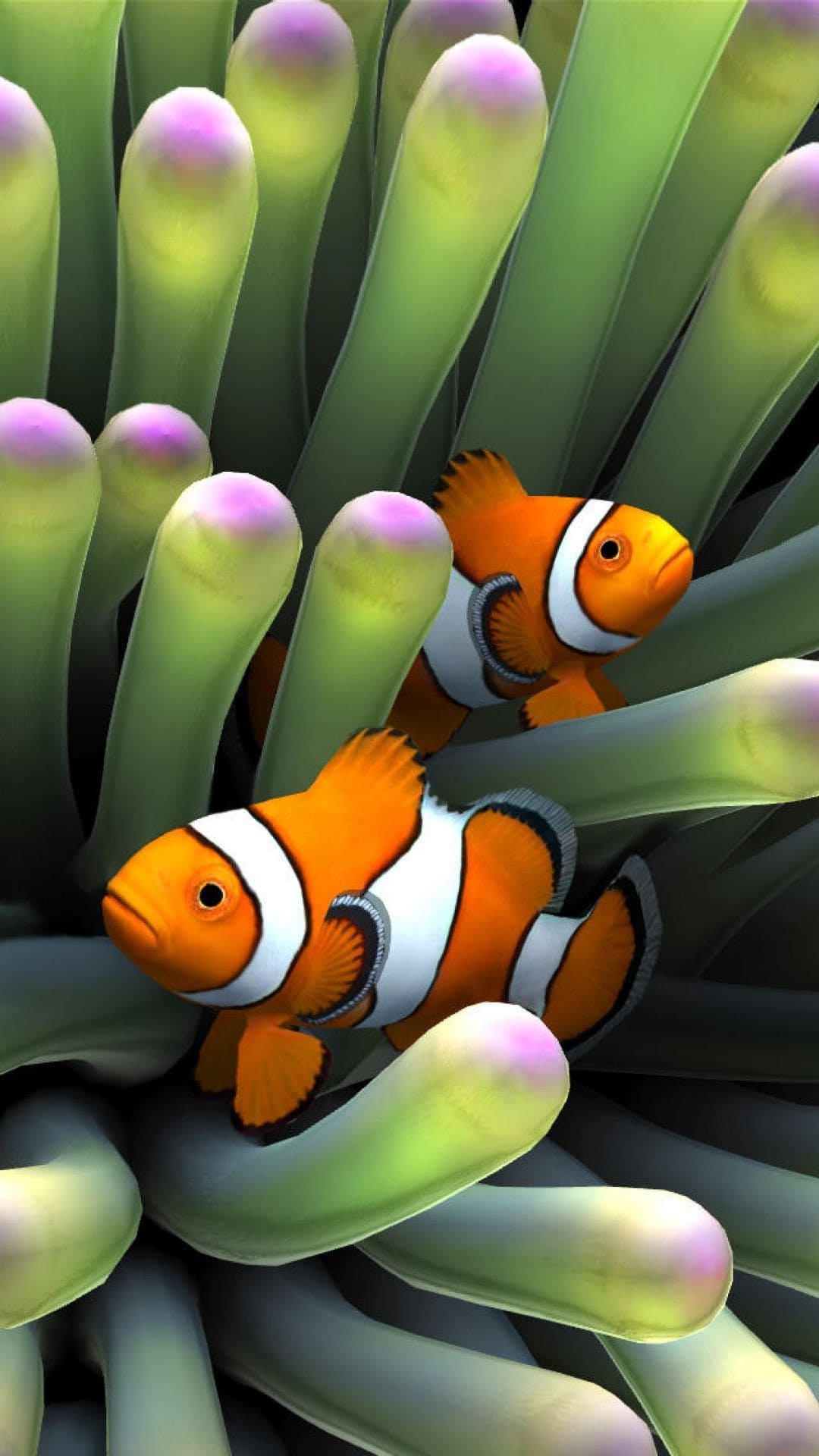 Clown Fish: Known for three vertical white stripes or bars down their sides. 1080x1920 Full HD Background.