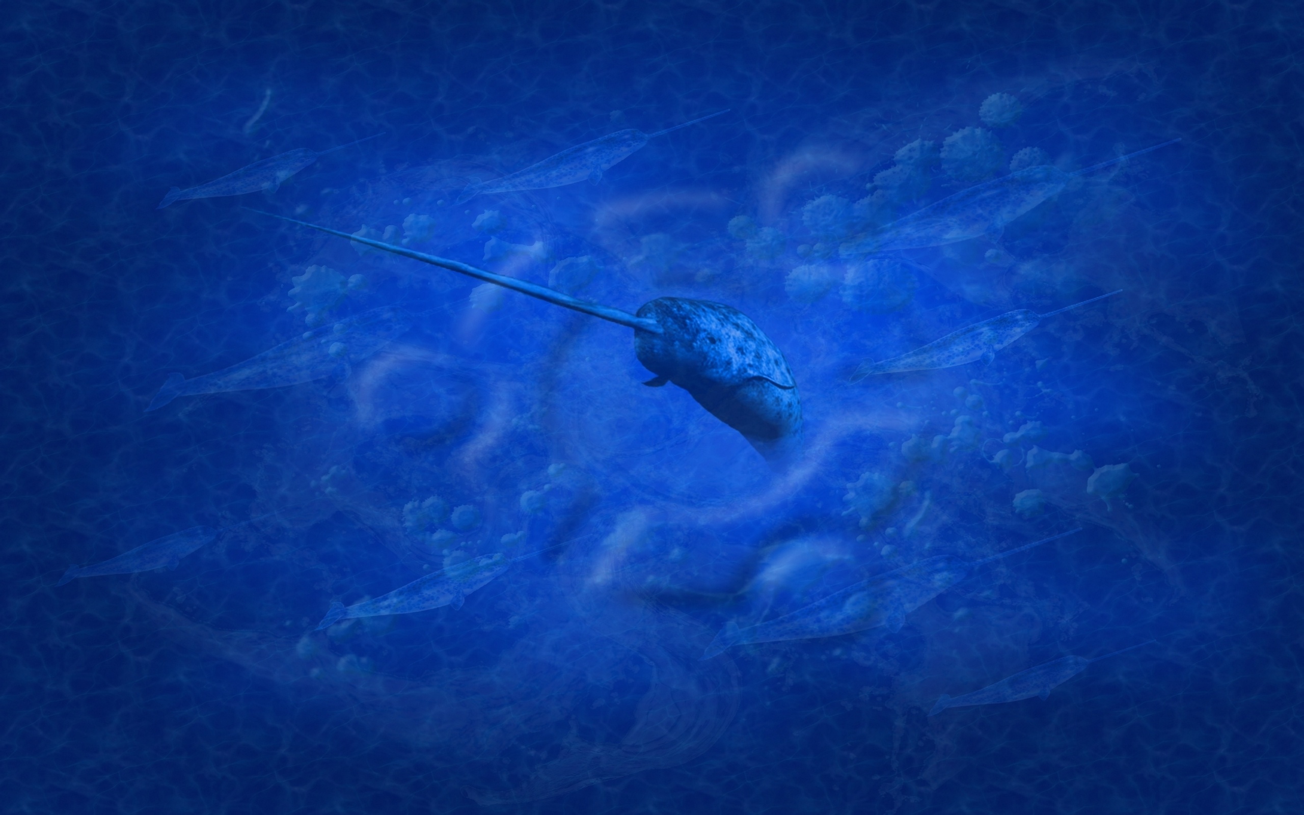 Narwhal wallpaper, Posted by Zoey, Digital excellence, Artistic beauty, 2560x1600 HD Desktop