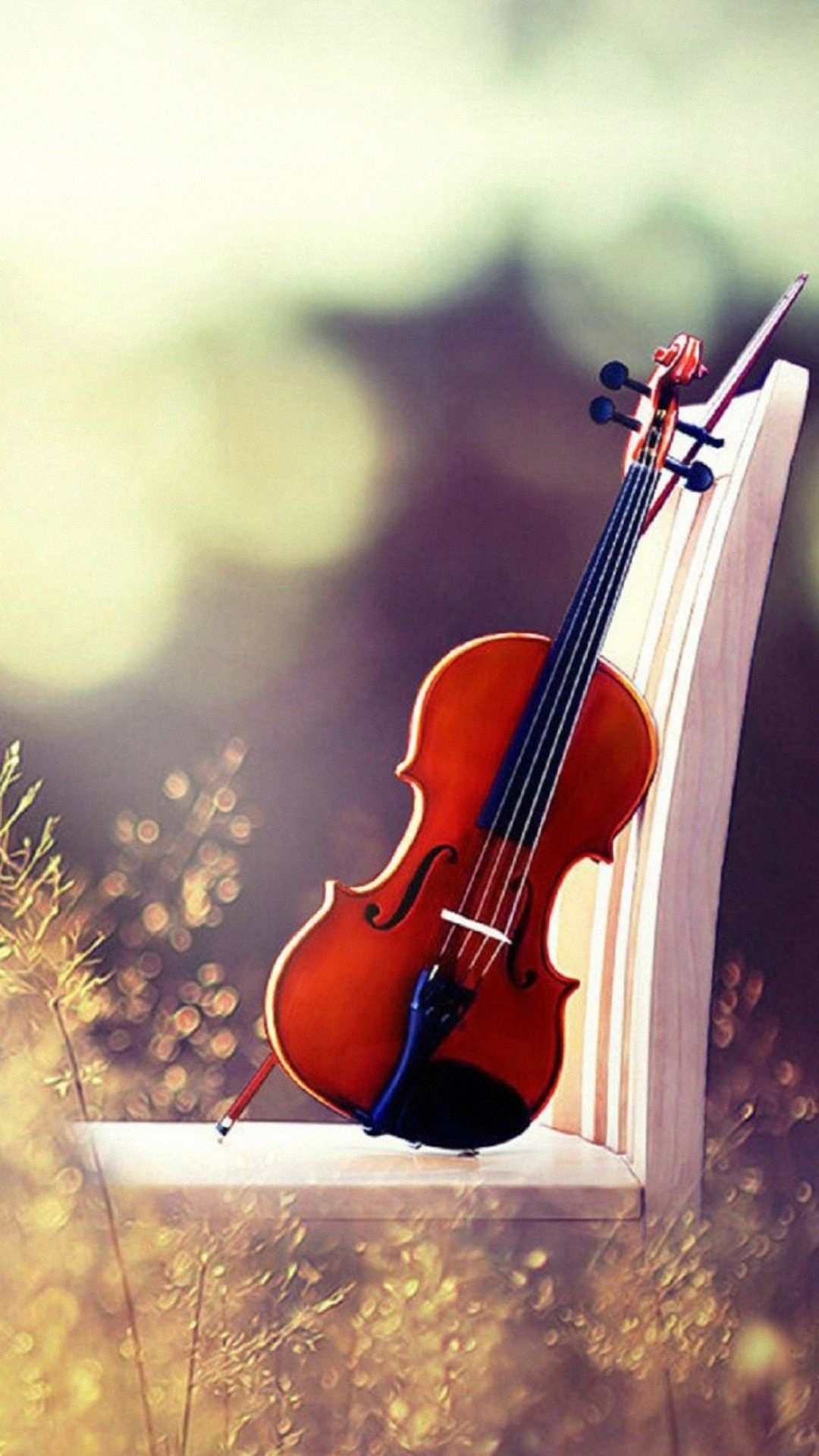Violin: Prepared For Outdoor Performance, Folk Music Festival In The Open Field. 1080x1920 Full HD Wallpaper.