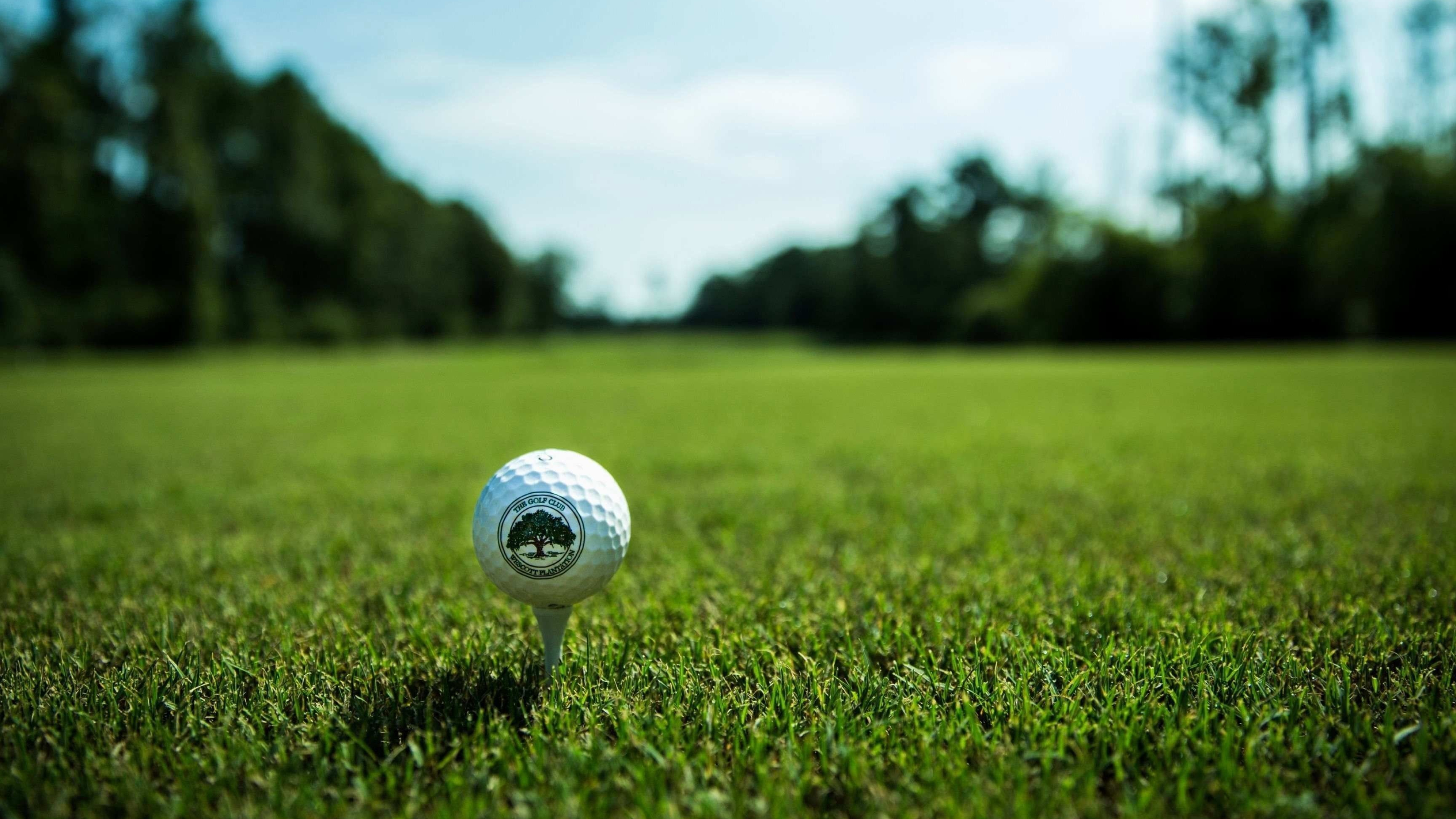 Golf Course: Wescott Plantation, Small ball, Ace, A hole in one, Grass, Fairway, Green. 3840x2160 4K Wallpaper.