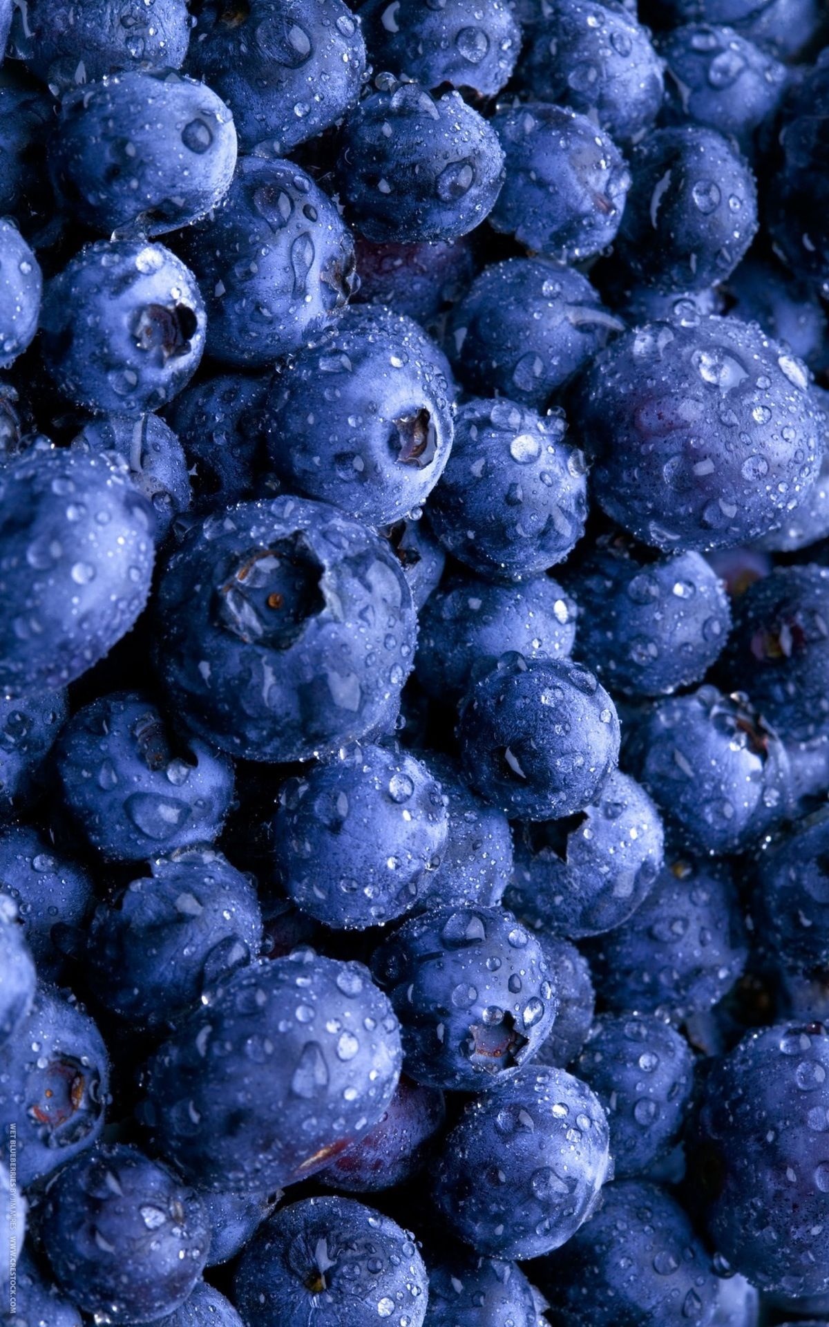 Huckleberry: An excellent source of dietary fiber, vitamin C, vitamin K, manganese, iron. 1200x1920 HD Background.