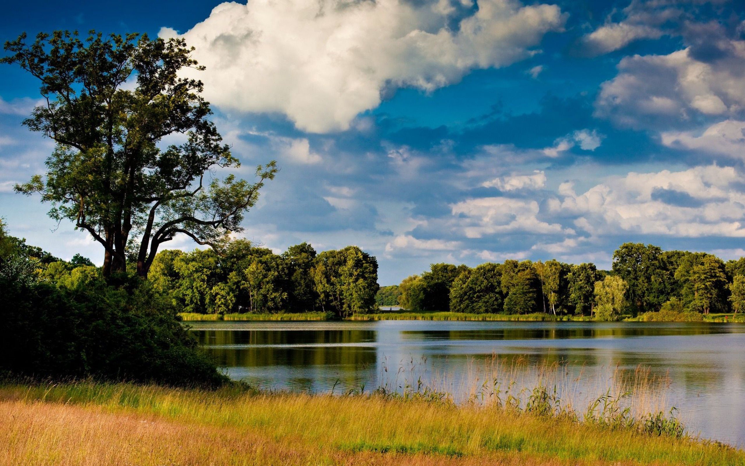 Riverside travels, Download wallpapers riverside, Summer river trees, Wood for desktop, 2560x1600 HD Desktop