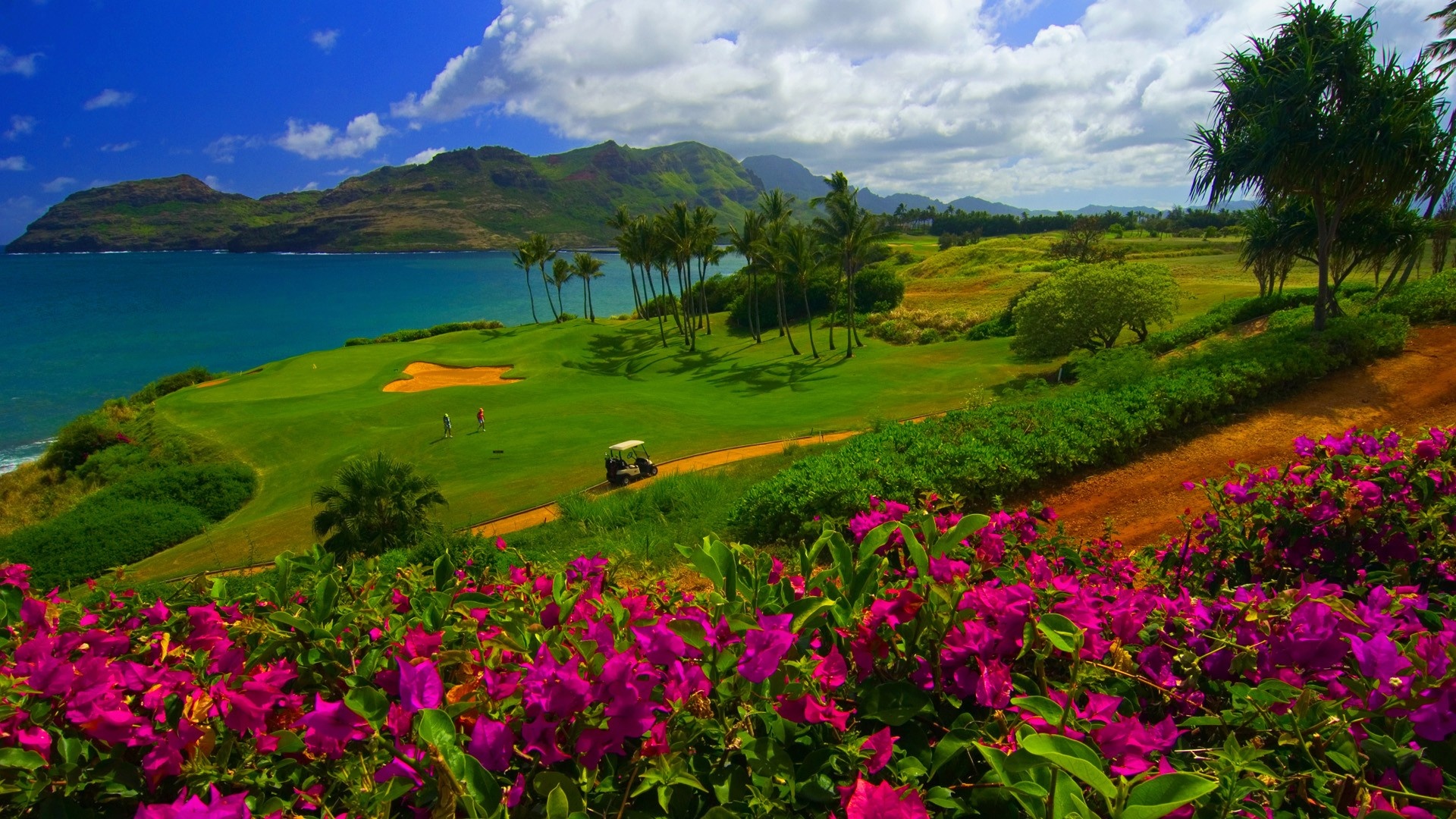Golf Course: Landscape, Bay, Water, Nature, Shore, Flowers, Clouds, Coast, Palm trees, Ocean. 1920x1080 Full HD Wallpaper.