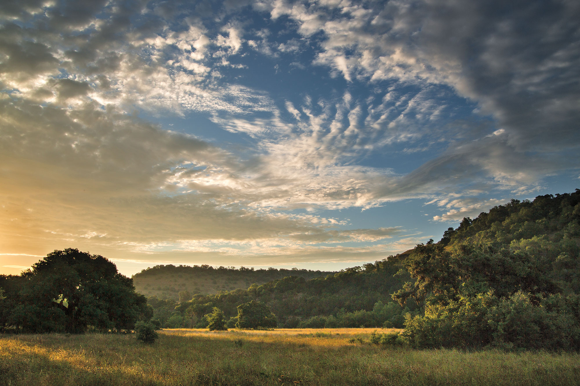Healing the Hill Country landscape, A legacy of nature preservation, Texas Highways, Environmental stewardship, 2000x1340 HD Desktop