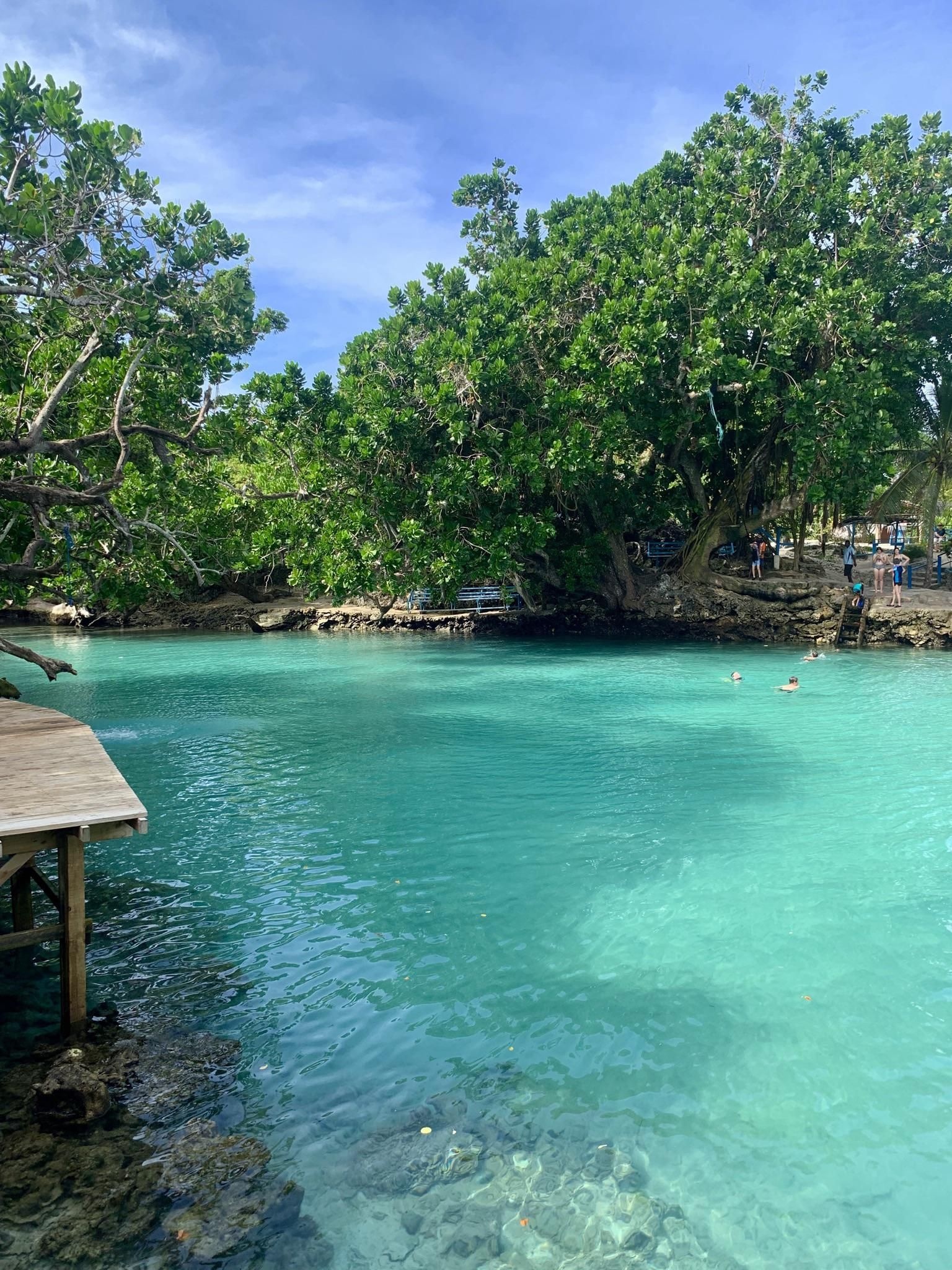 Vanuatu travel ideas, South Pacific paradise, Port Vila attractions, 1540x2050 HD Phone