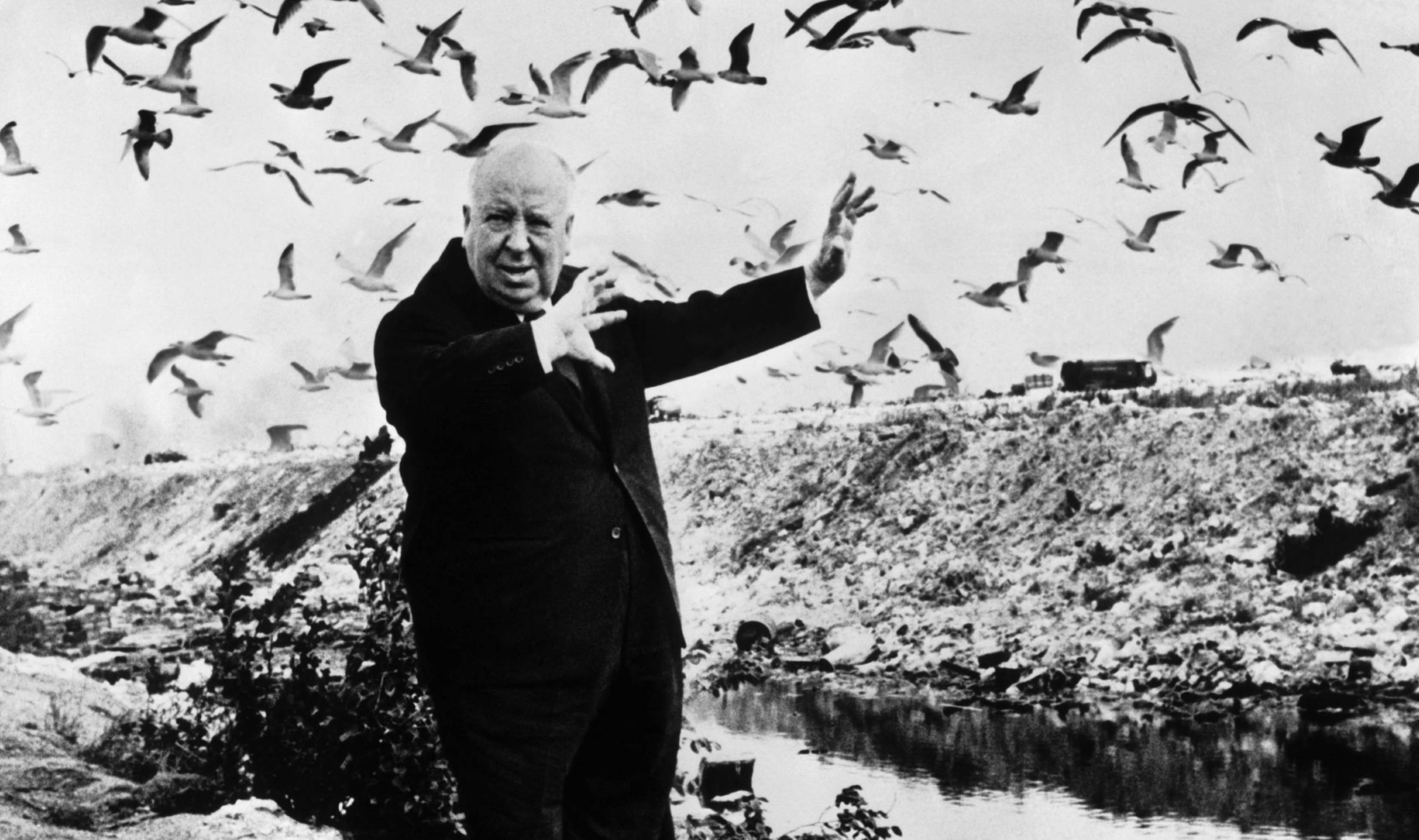 Alfred Hitchcock, Witty advertising, Master of suspense, 2560x1520 HD Desktop