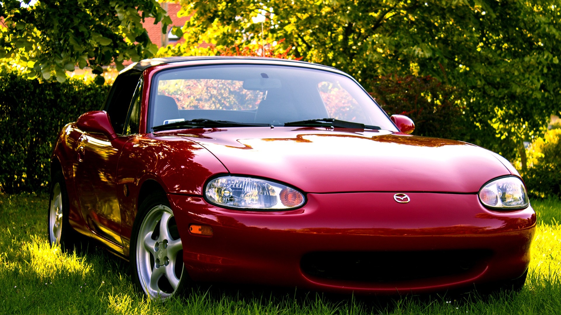 MX5 Mazda with grass, Nature-themed background, 1920x1080 Full HD Desktop