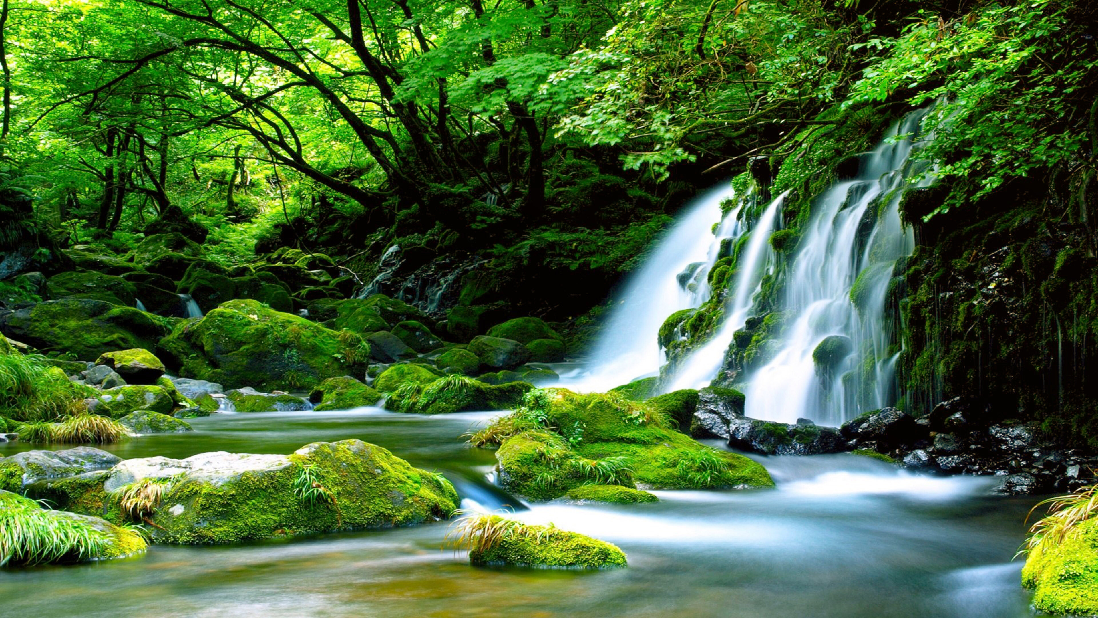 Waterfall: River, Rocks Covered With Green Moss, Forest, Stream. 3840x2160 4K Wallpaper.
