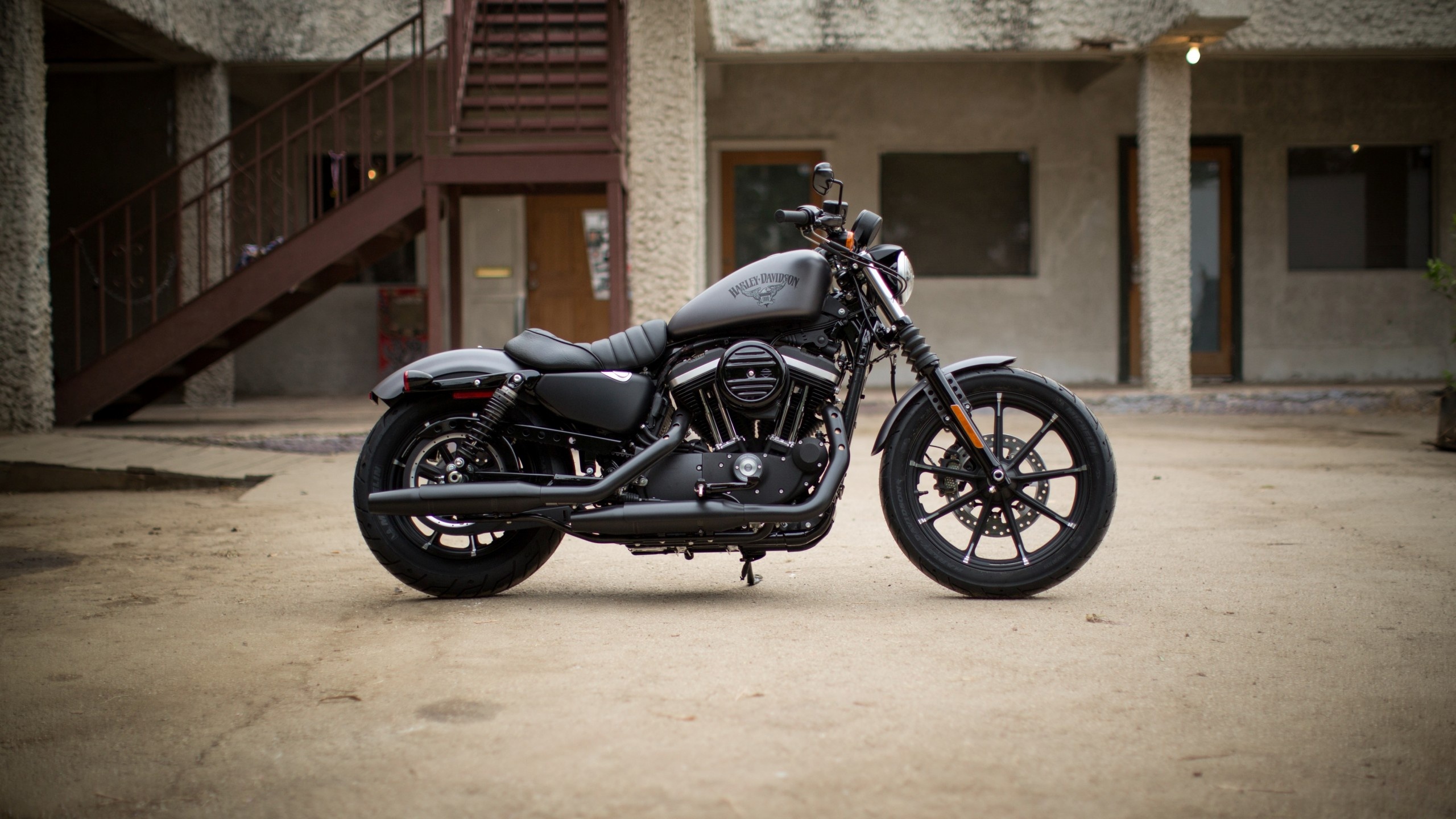 Harley Davidson Iron 883, Black bike, 2560x1440 HD Desktop