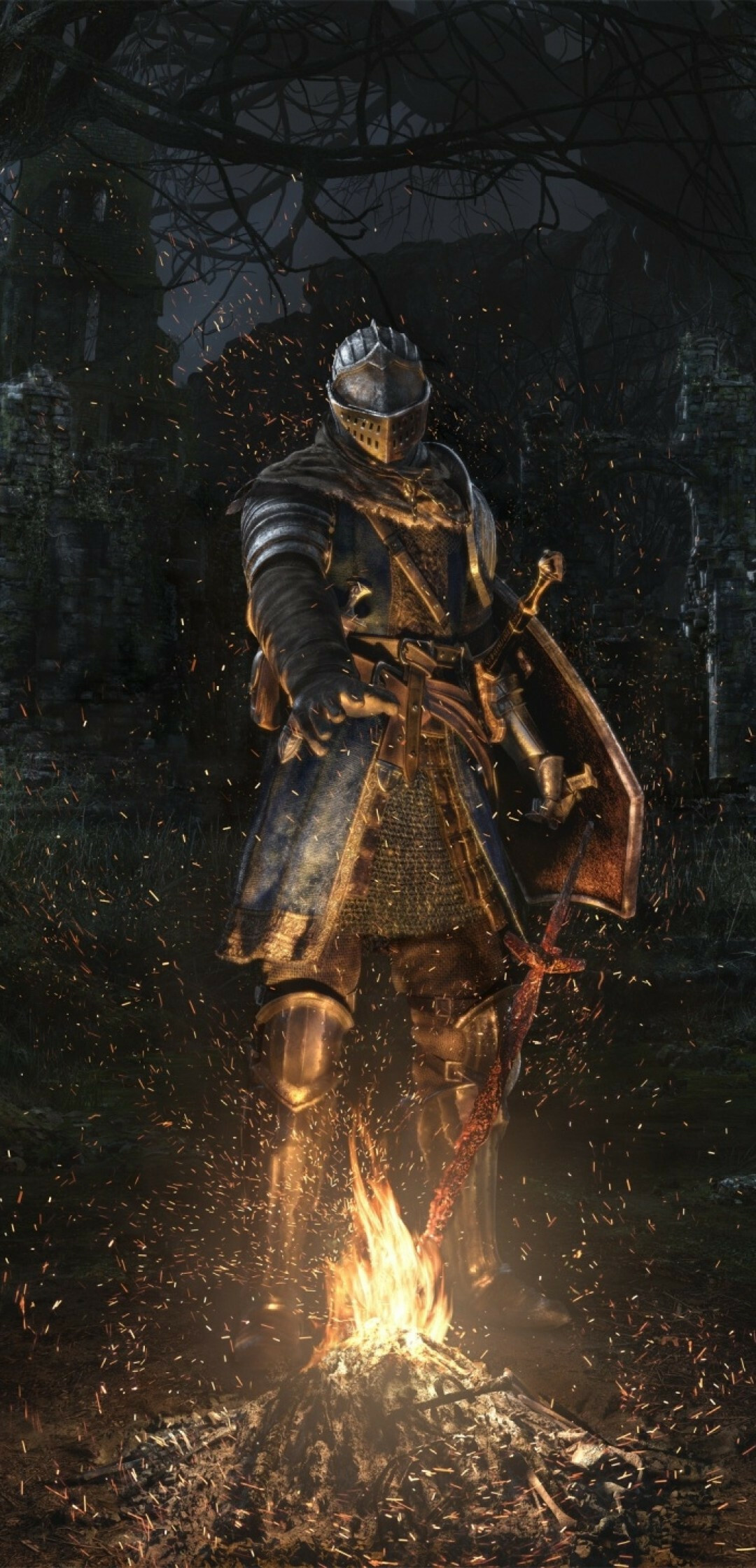 Knight: Dark Souls, Bonfire, Flame, Armor, Nobleman. 1080x2240 HD Background.