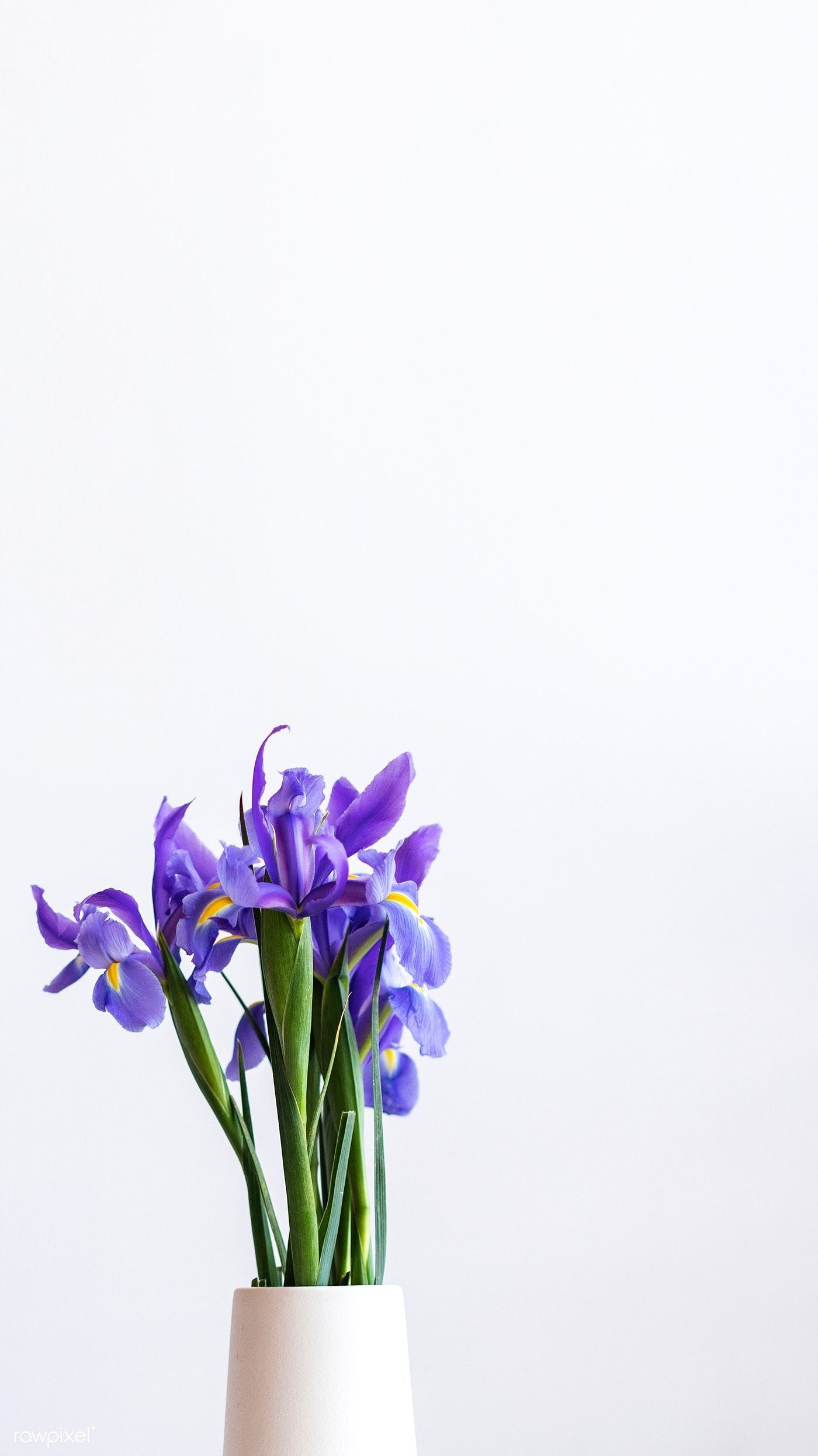Iris, Purple iris, Beautiful vase, Elegant flowers, 1400x2490 HD Phone
