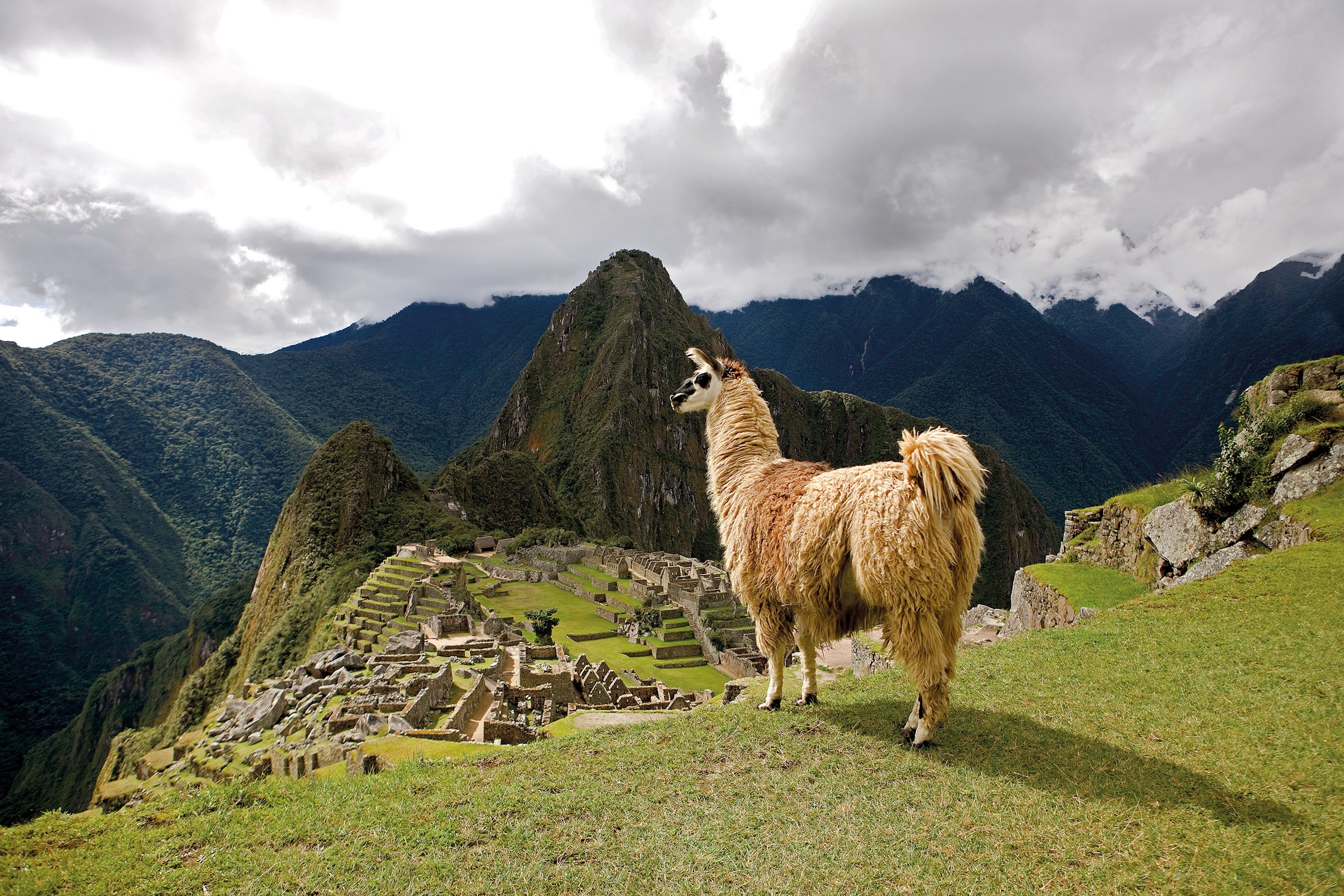 Peru guided tour, Machu Picchu exploration, In-depth knowledge, Memorable journey, 2600x1730 HD Desktop