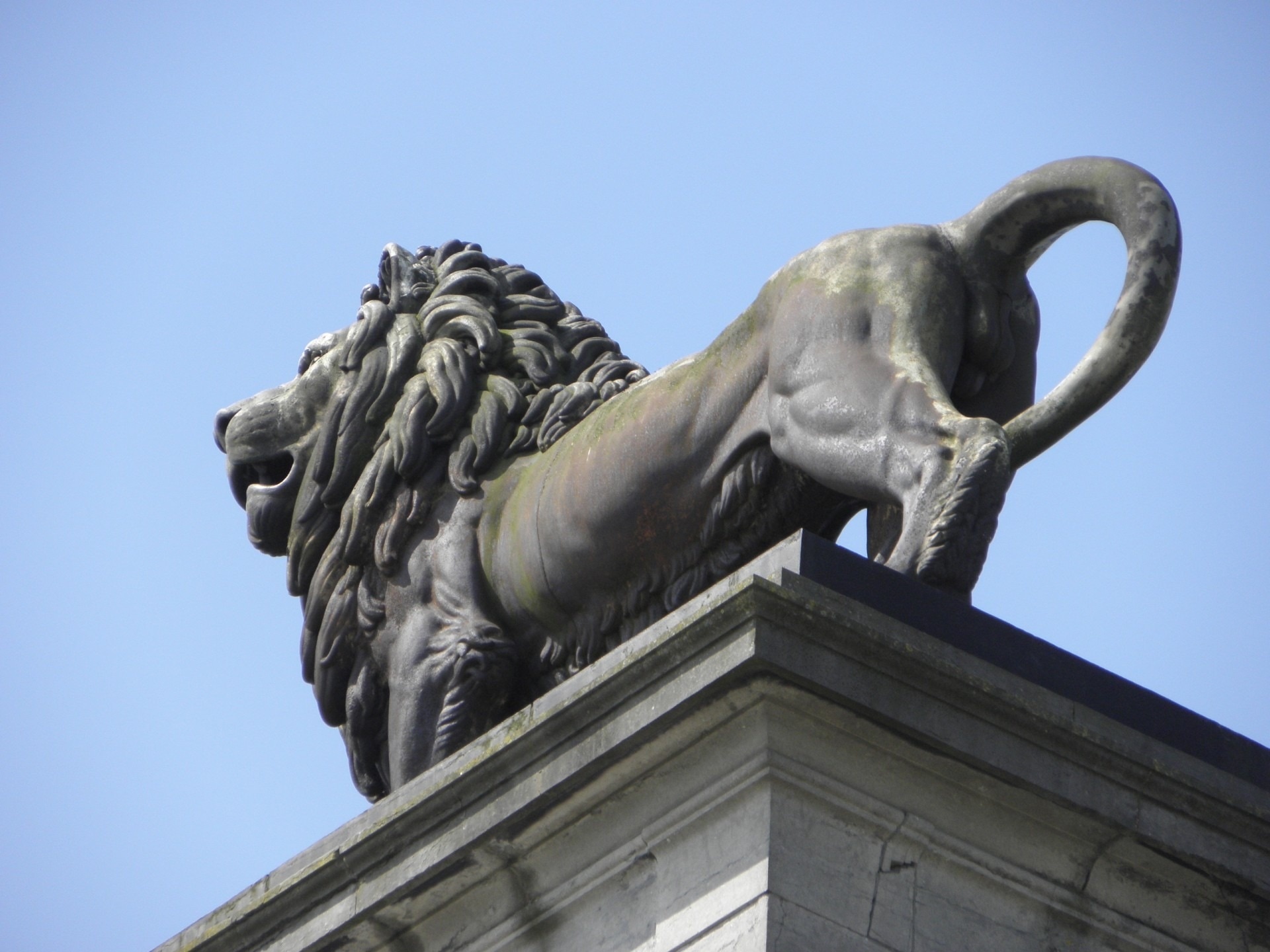 Waterloo, Belgium, Statue of Lion, Peakpx, 1920x1440 HD Desktop