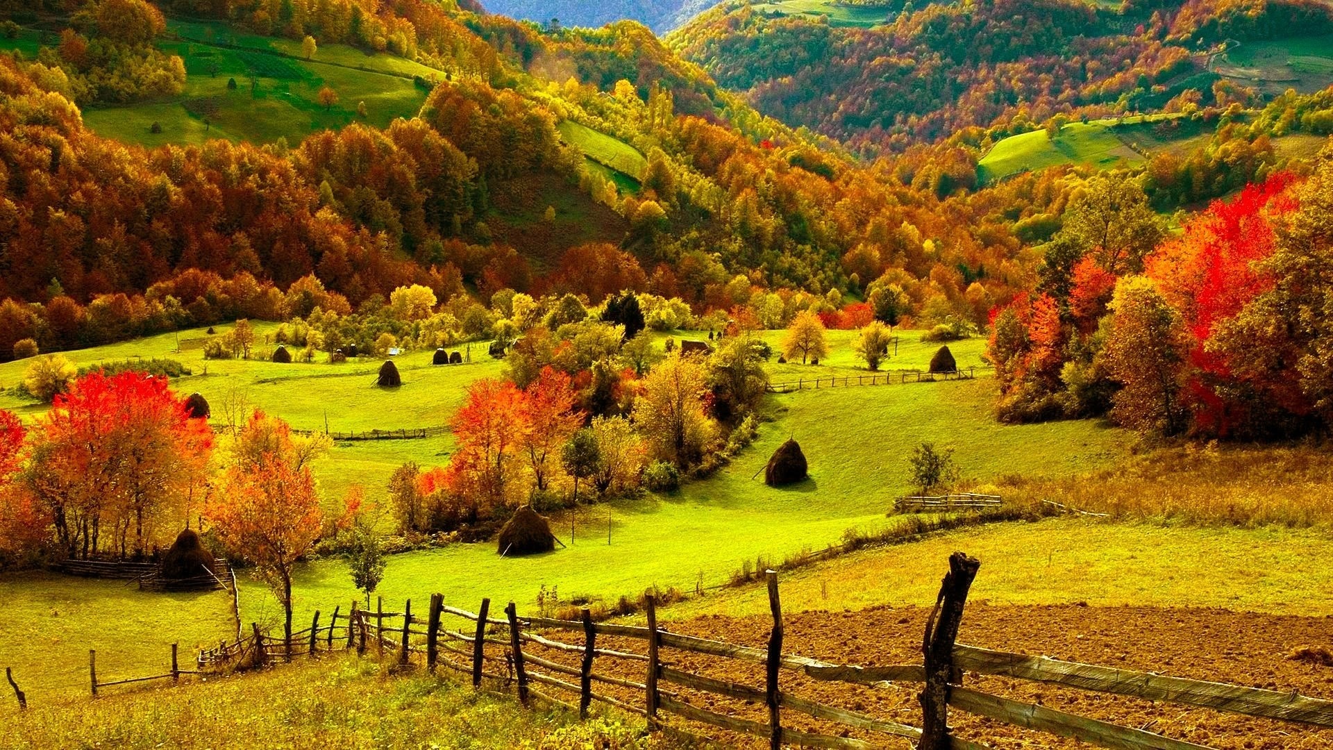 Fall wallpaper, Fall scenery, Amazing autumn, Captivating background, 1920x1080 Full HD Desktop