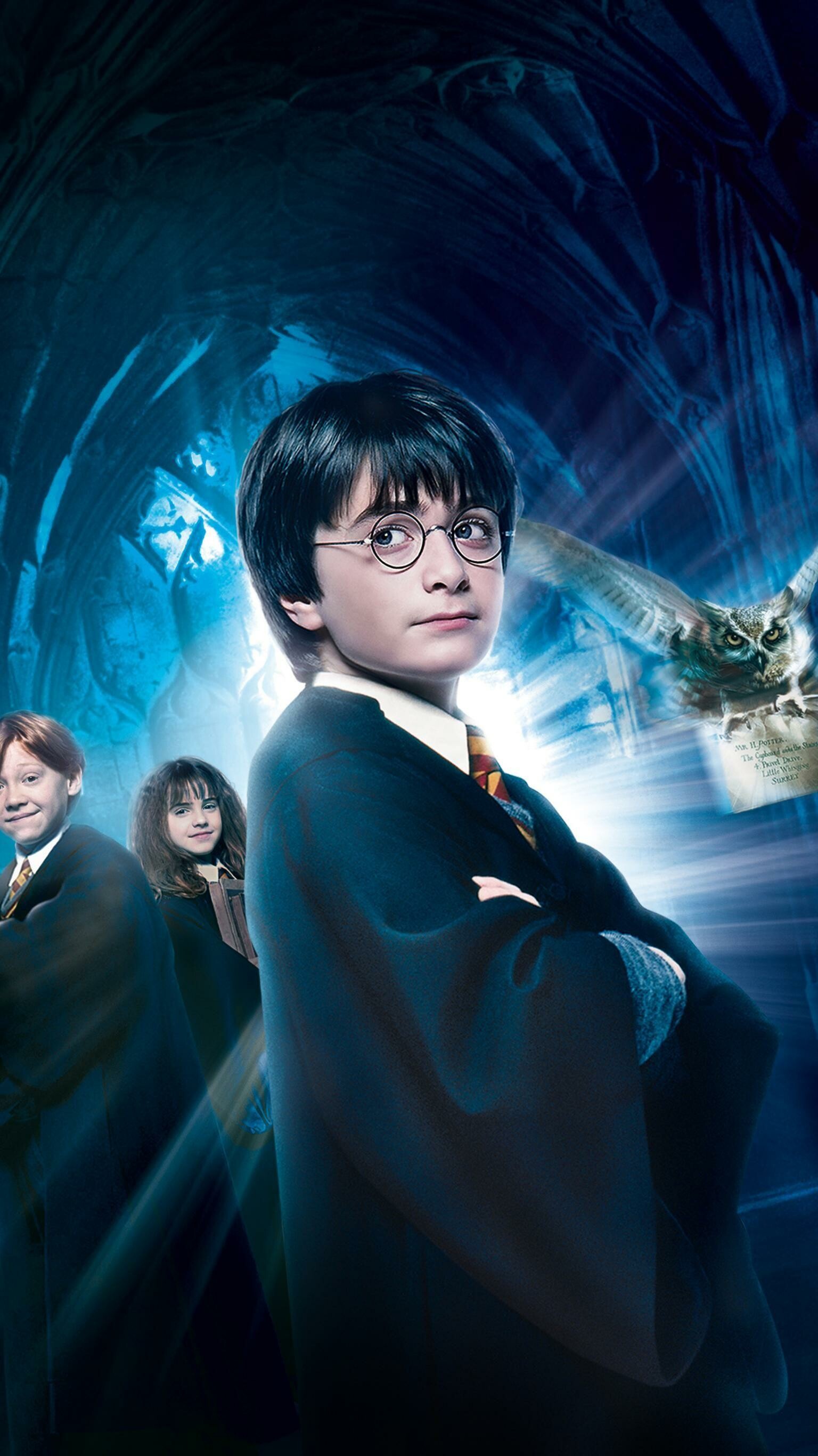 Harry Potter: A fictional character and the titular protagonist in J. K. Rowling's series. 1540x2740 HD Background.