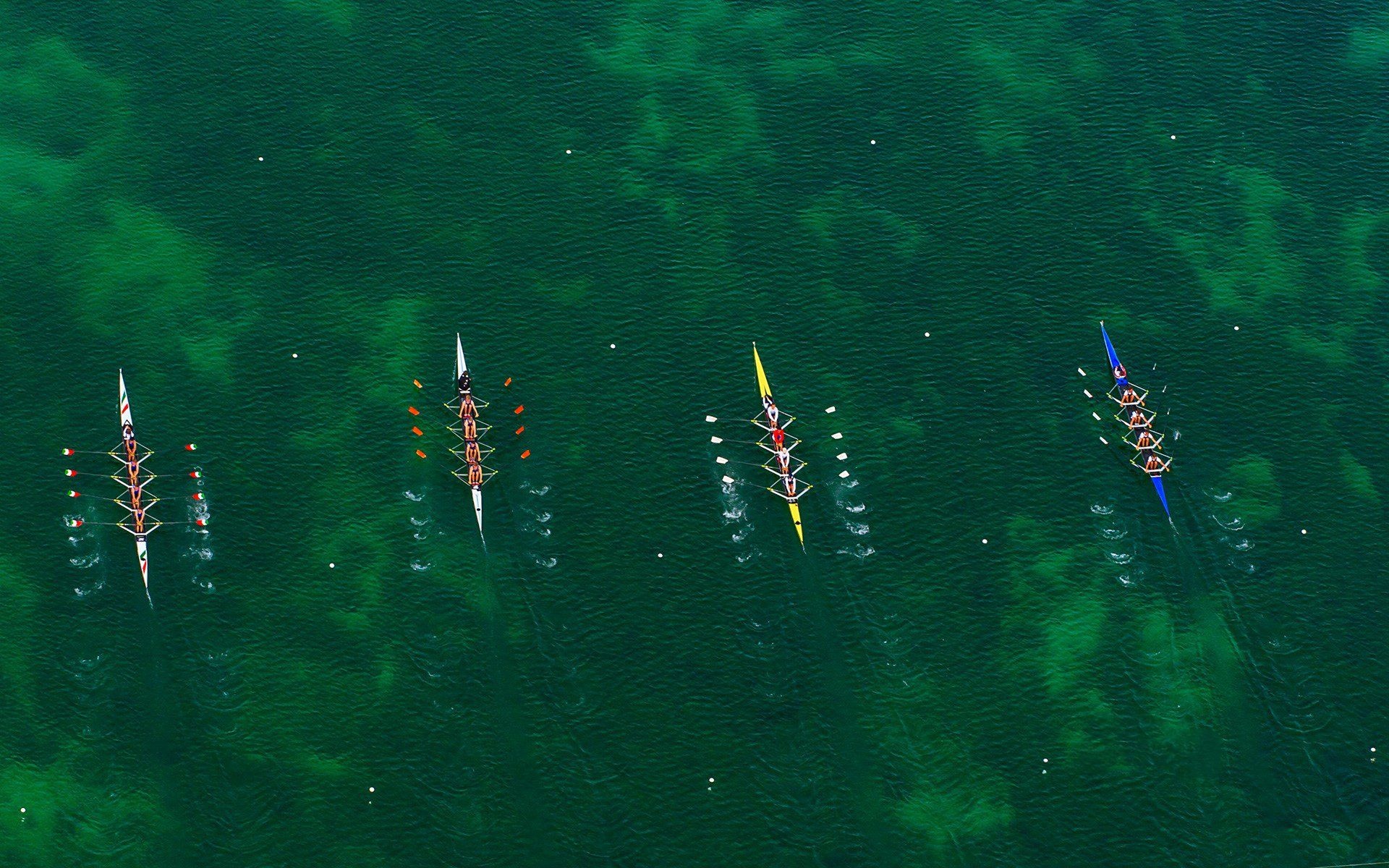 Rowing: 4 teams compete at the sculling event in the open water, International boating. 1920x1200 HD Wallpaper.