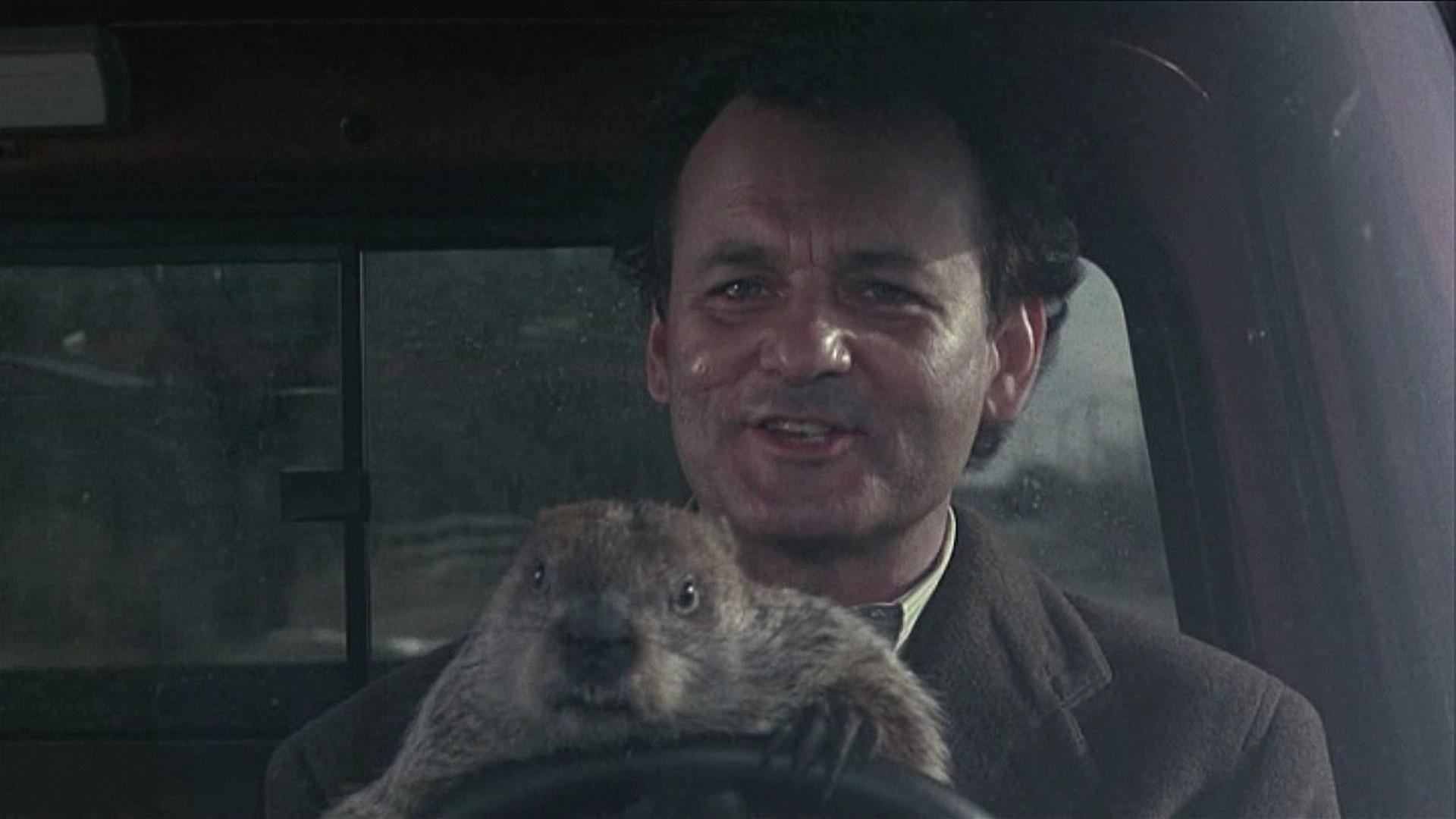 Groundhog Day (Movie): The film tells the story of Phil Connors, a cynical television weatherman. 1920x1080 Full HD Wallpaper.