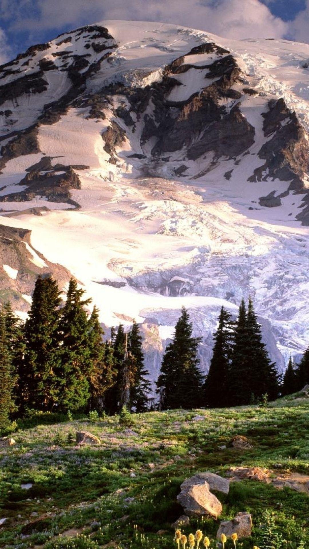 Mount Rainier, National Park, Travels, Nature, 1080x1920 Full HD Phone