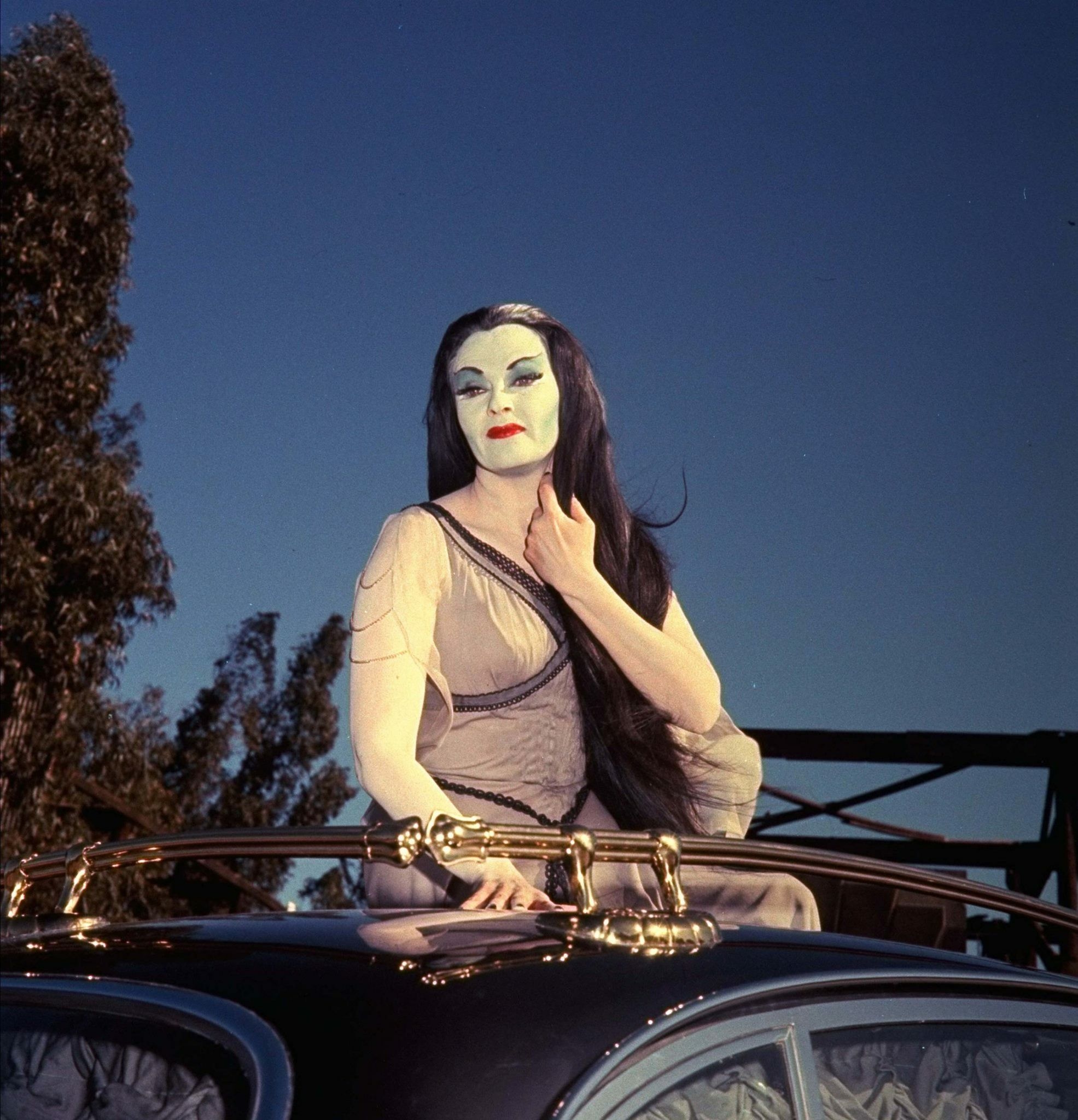 The Munsters, Munsters ideas, Sheri Moon Zombie, Lily Munster, 1980x2050 HD Phone