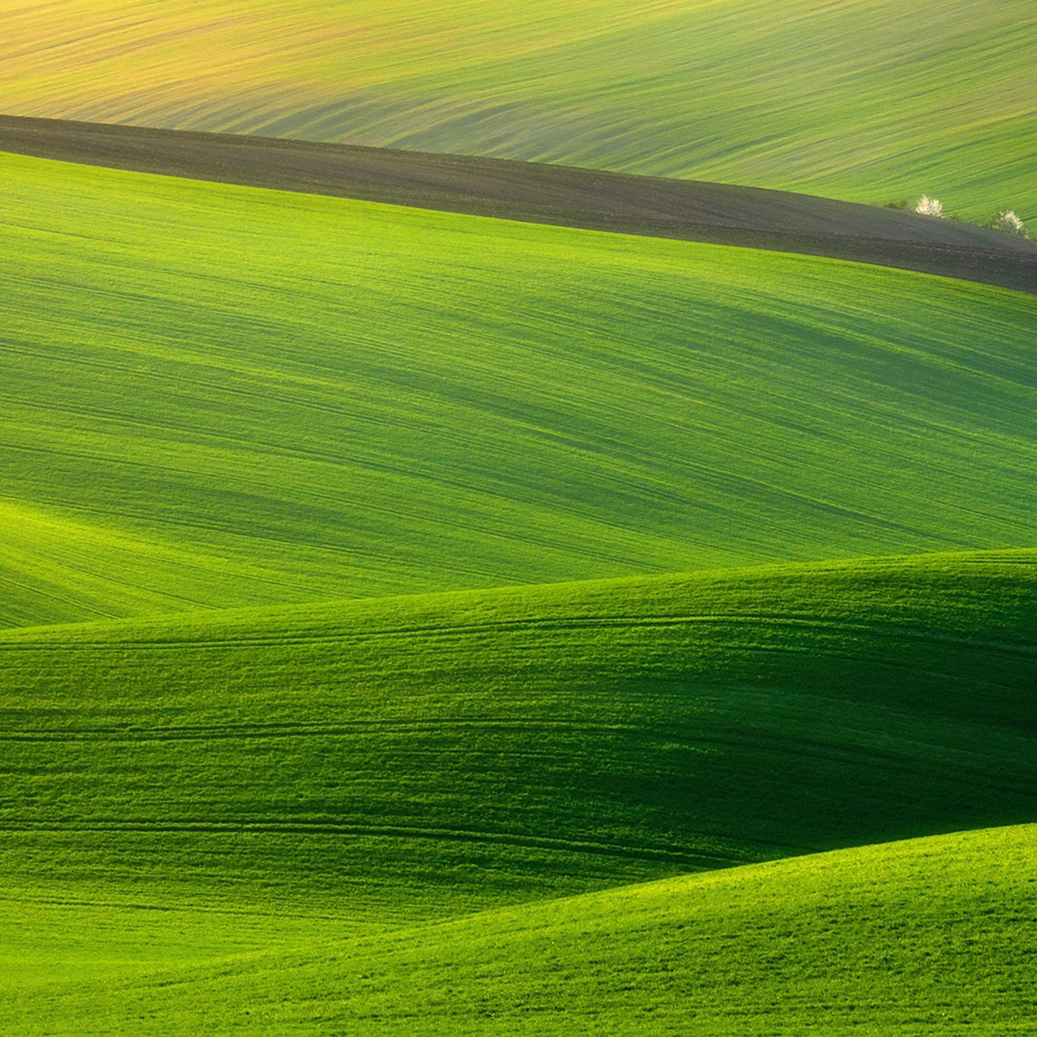 Grassland: Green hills, A rural area, Great outdoors, A rural district, Middle of nowhere. 2050x2050 HD Background.