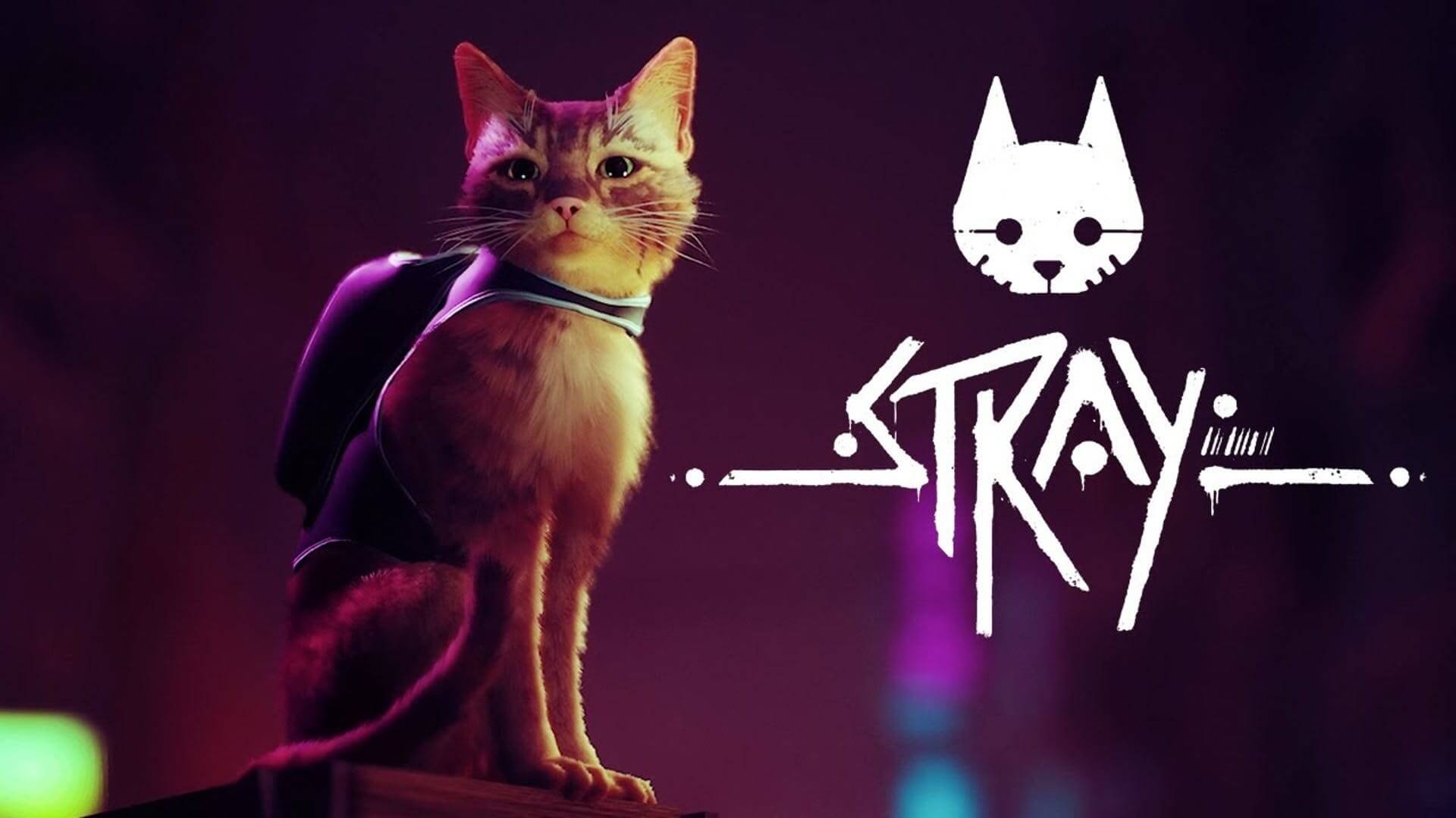 Stray (Game): One of a small feline colony living in a disused industrial district, Game character. 1920x1080 Full HD Wallpaper.
