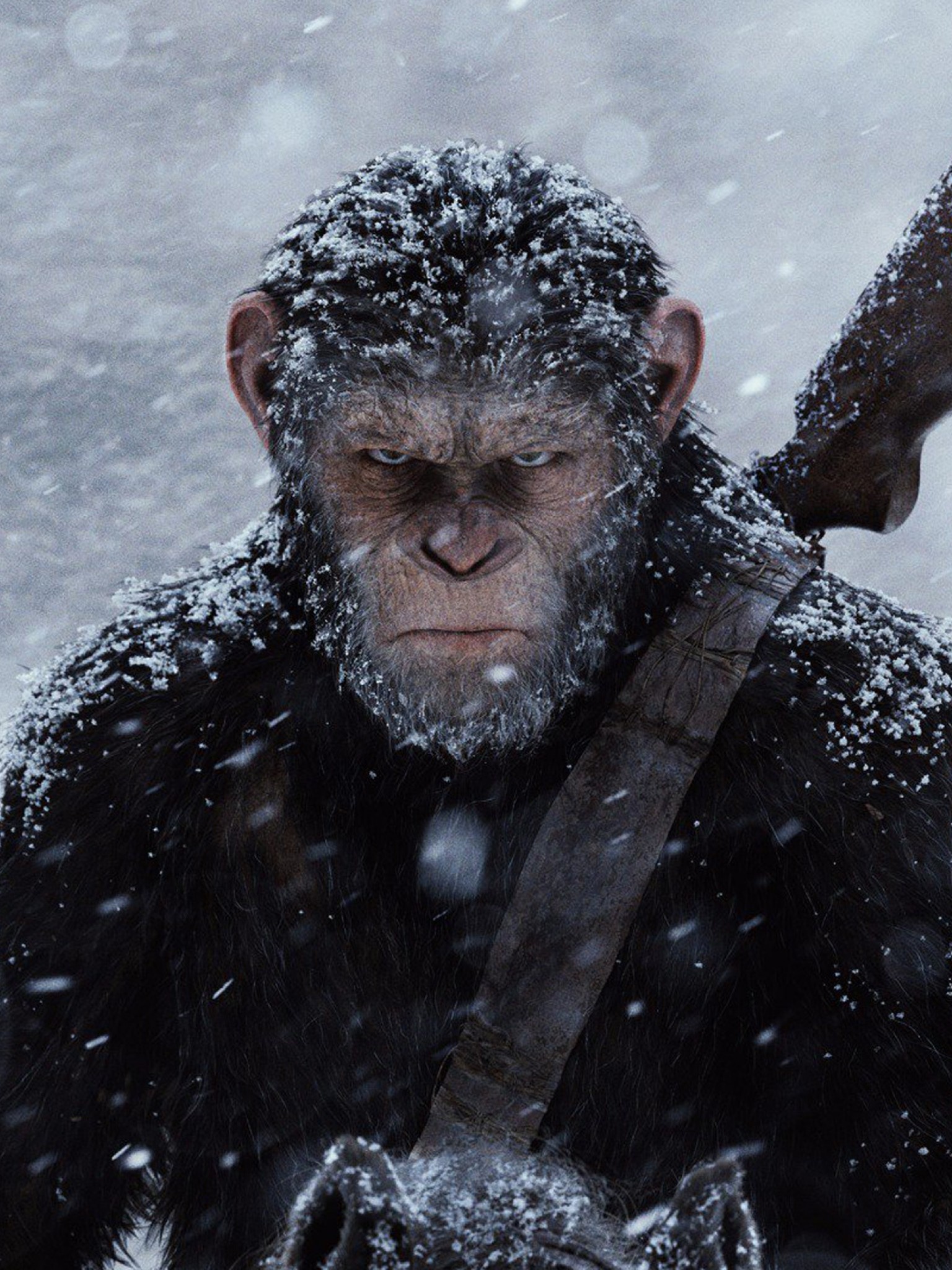 War for the Planet of the Apes, Desktop wallpaper, Retina display, High quality, 1540x2050 HD Handy