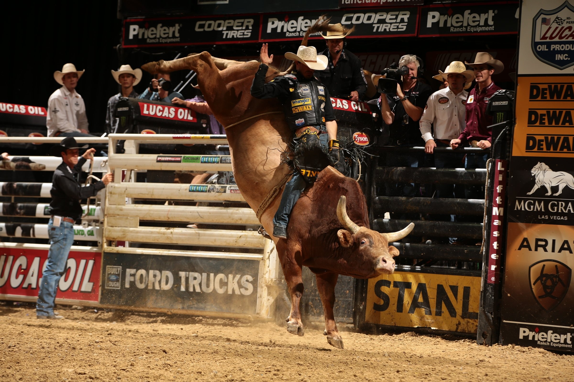 Rodeo: Cowboys, Bucking bulls, Bodacious, Sweet Pro's Bruiser, Bushwacker, Professional Bull Riders World Finals. 2400x1600 HD Background.