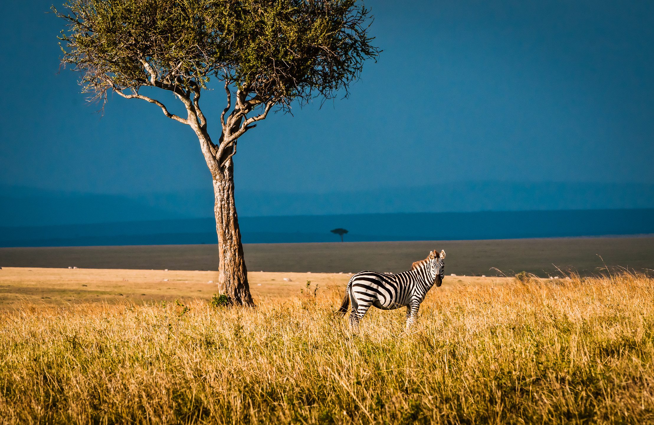 Kenya photography, Wildlife wonders, African landscapes, Stunning nature, 2220x1440 HD Desktop