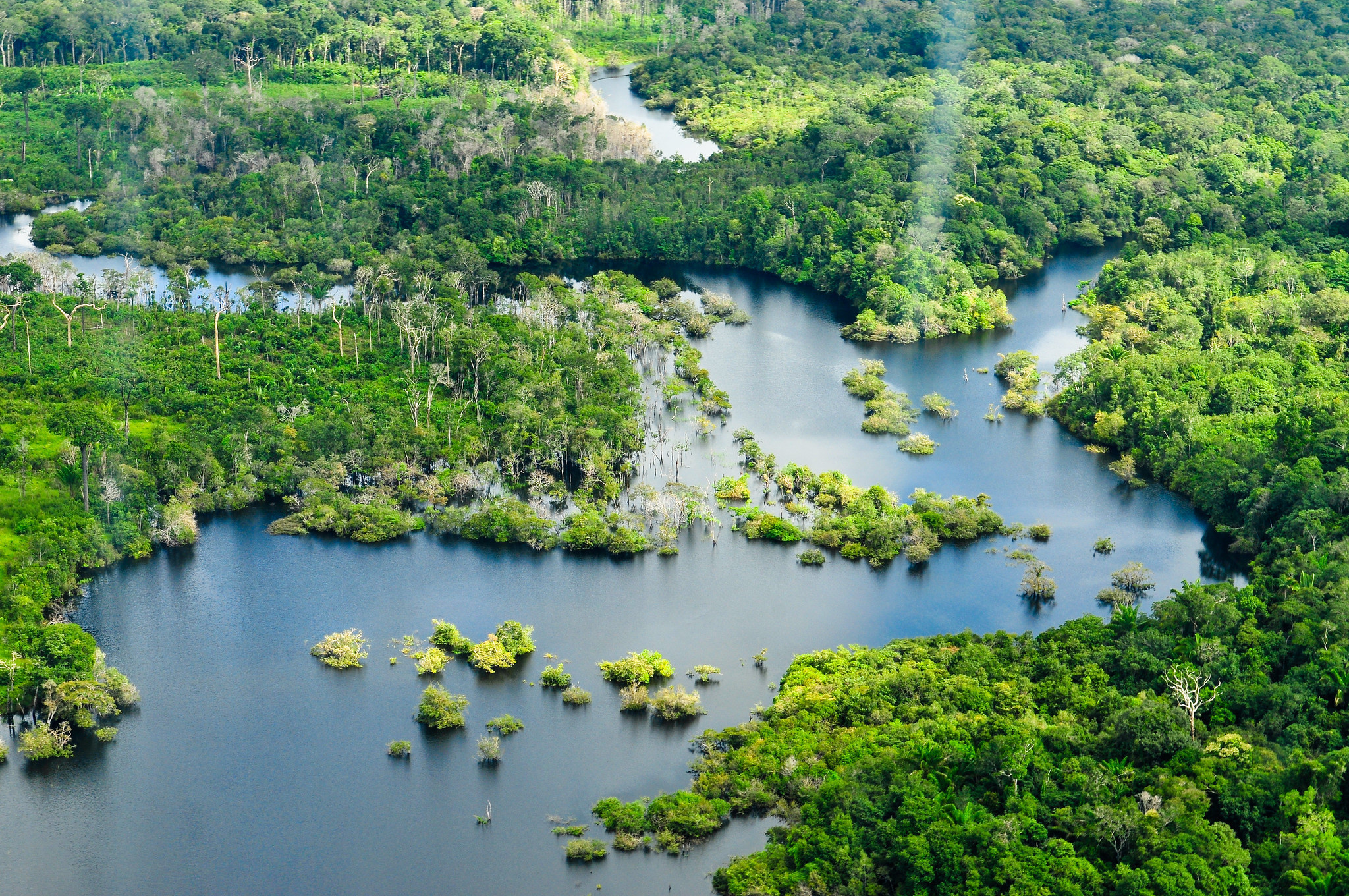 The Amazon River, Protecting the rainforest, Global challenge, World economic forum, 2050x1360 HD Desktop