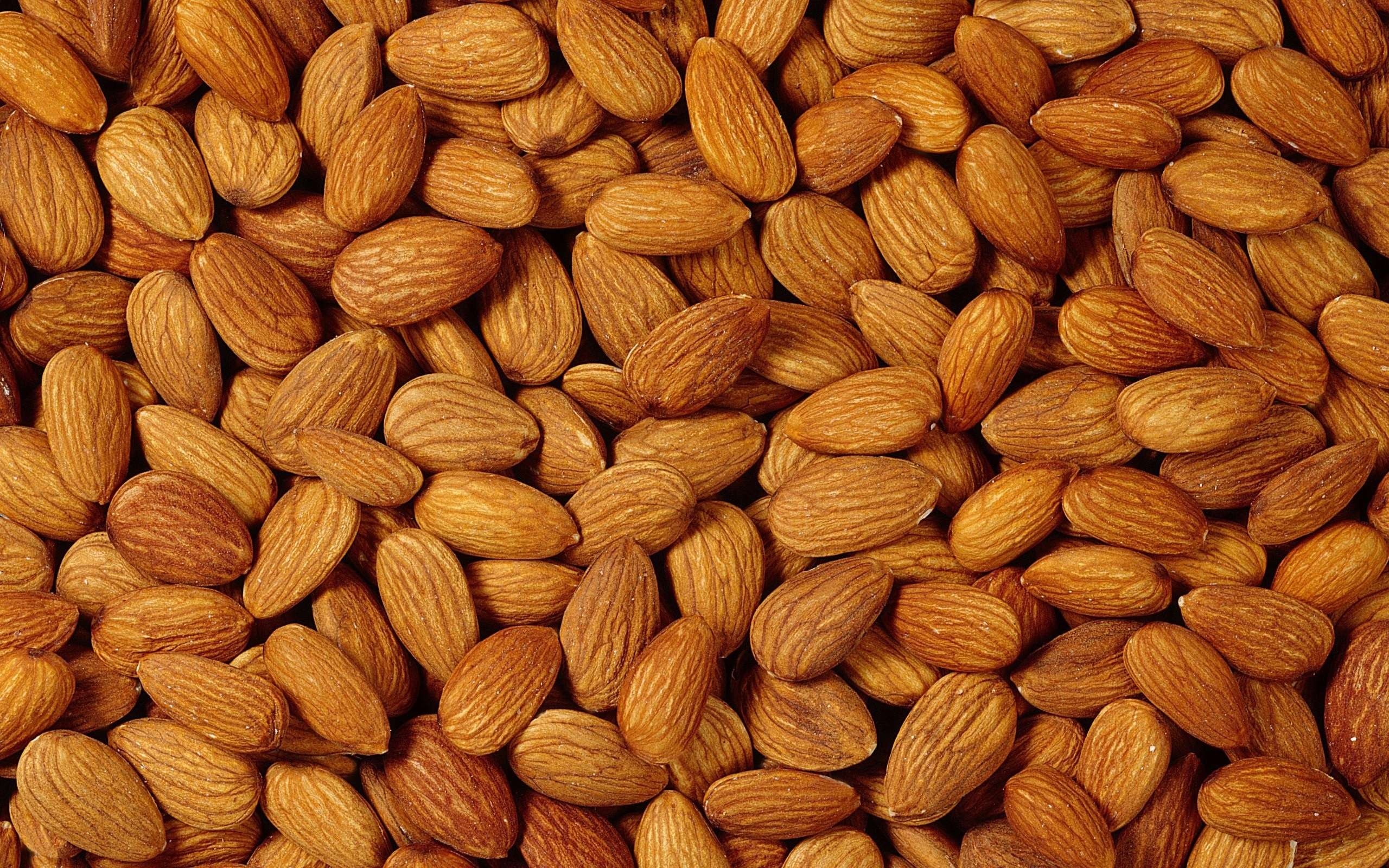 Nuts: Almond, Prunus dulcis, Edible seed. 2560x1600 HD Wallpaper.