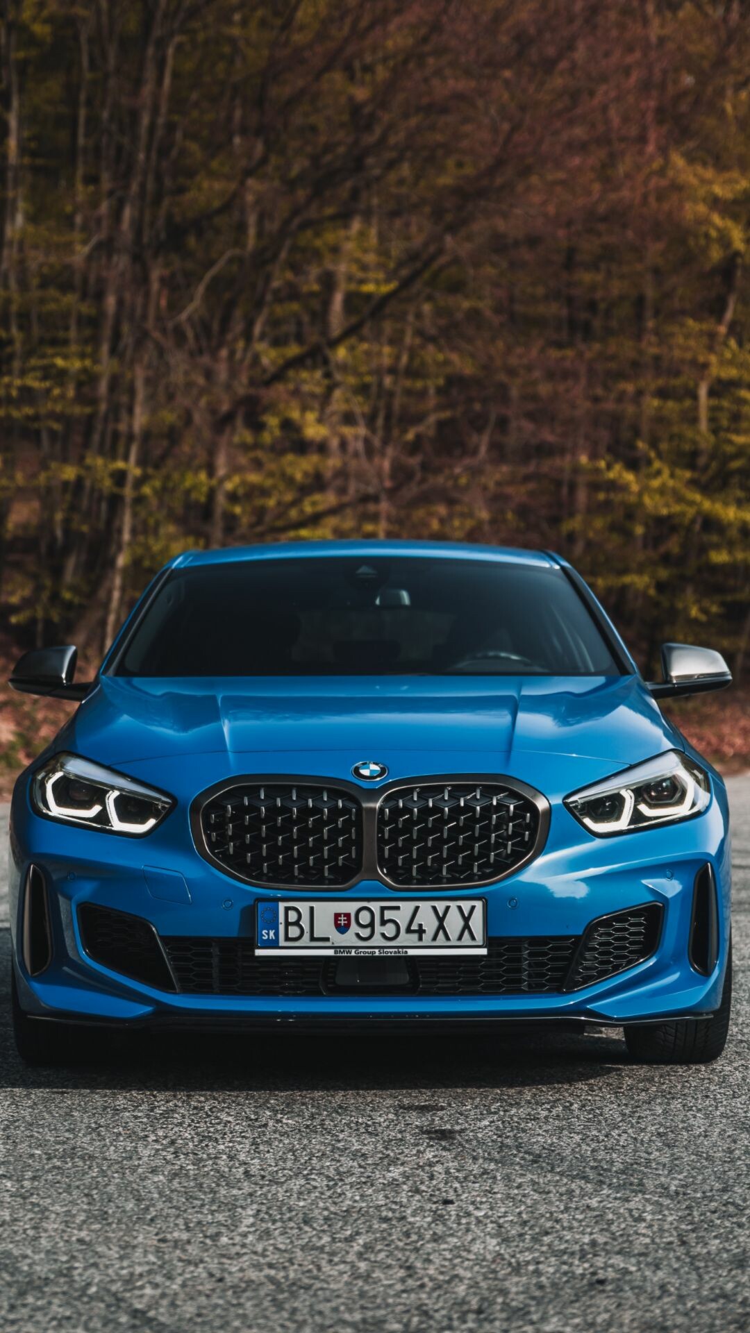 BMW 2 Series: Automaker, Headquartered in Munich, A twin kidney grille. 1080x1920 Full HD Wallpaper.