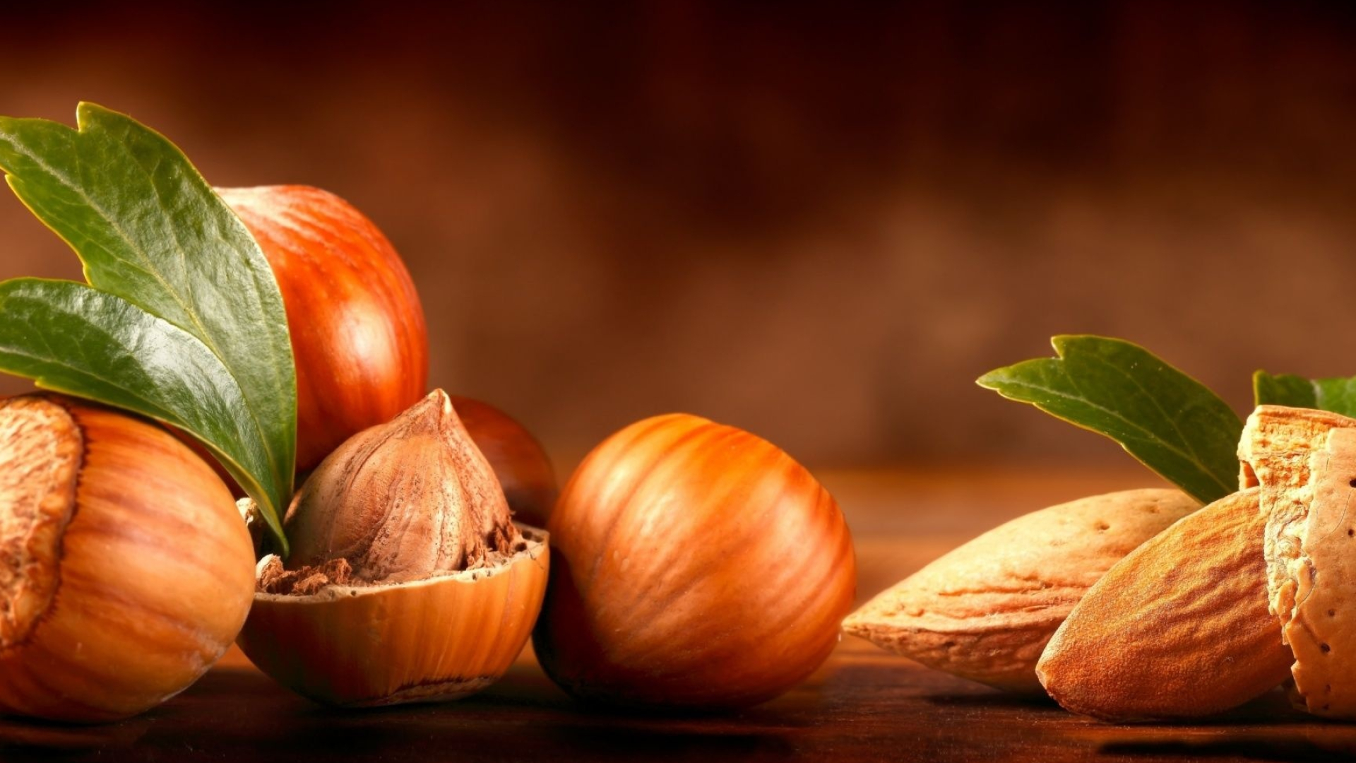Hazelnuts: A perennial plant that is able to bear fruit even after the age of 50 years. 1920x1080 Full HD Background.
