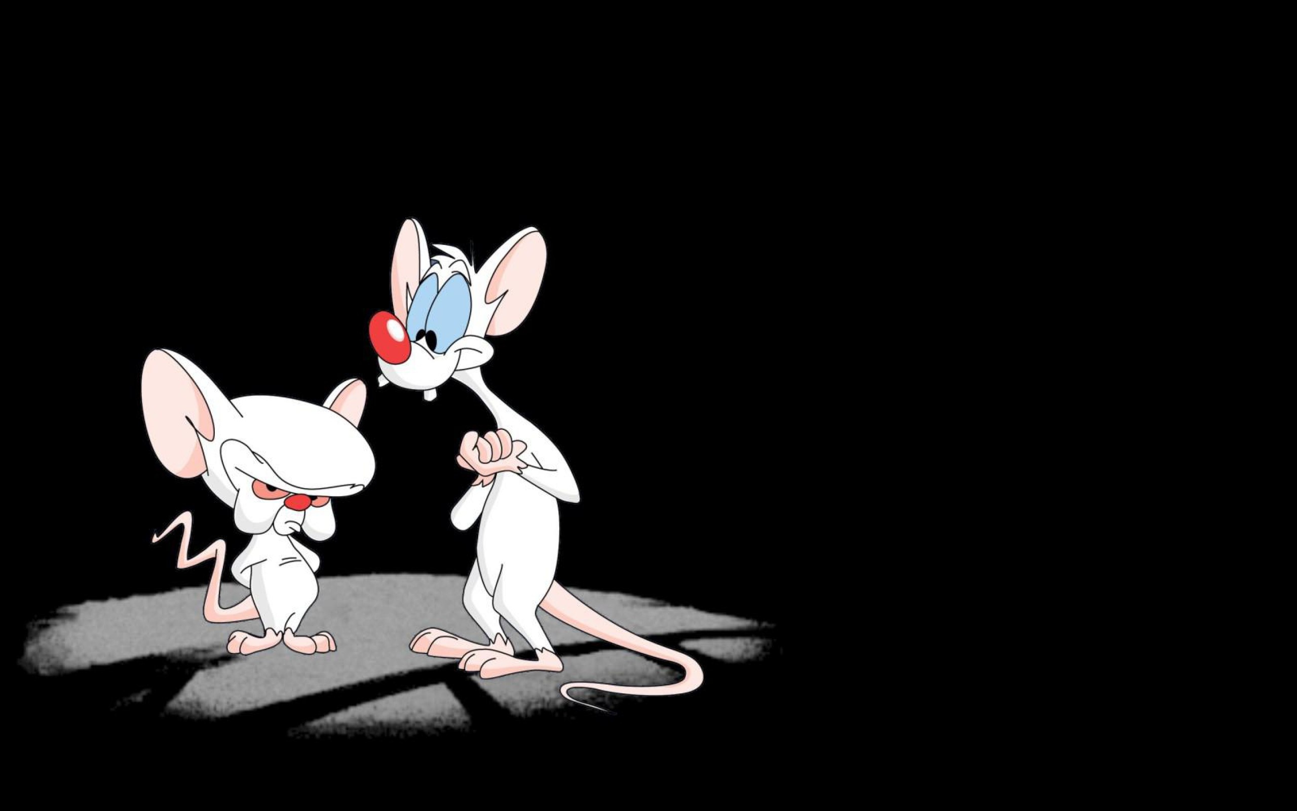 Pinky and the Brain Animation, Comical duo, Hilarious adventures, Brilliant schemes, 2560x1600 HD Desktop