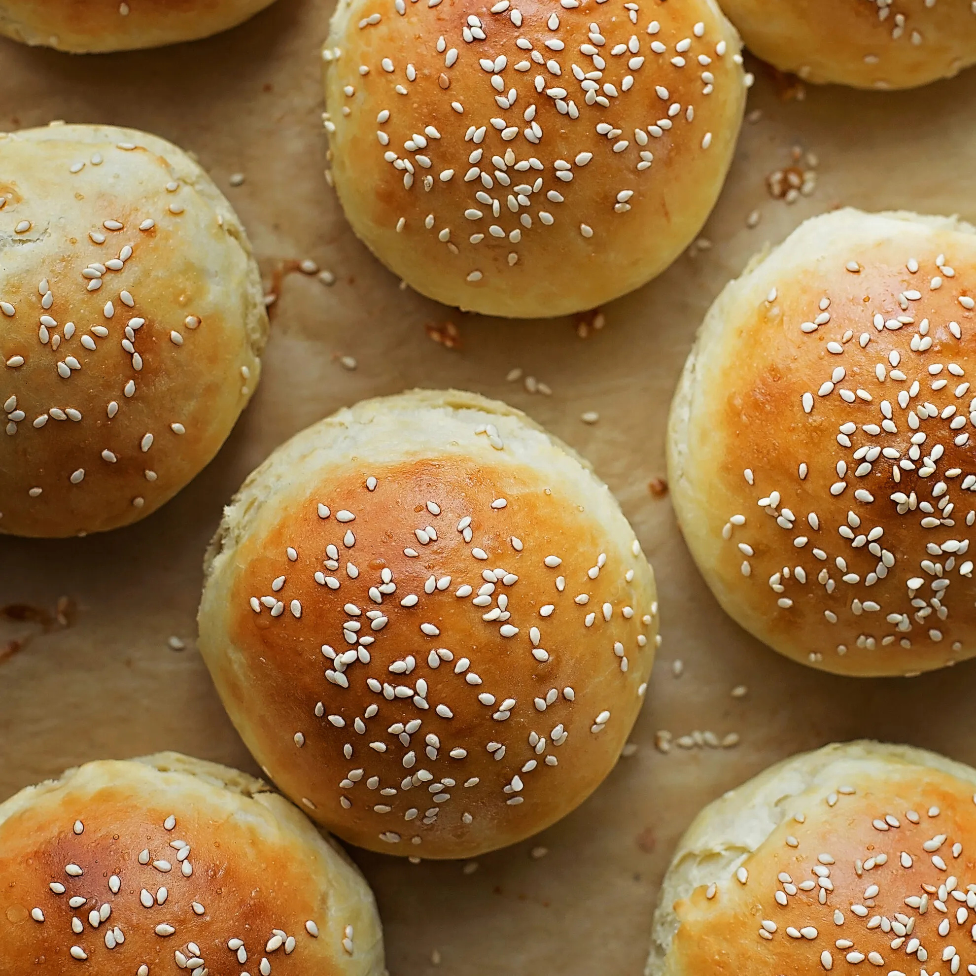 Homemade brioche buns, Baking expertise, Fluffy and buttery, Perfect for sandwiches, 1980x1980 HD Phone