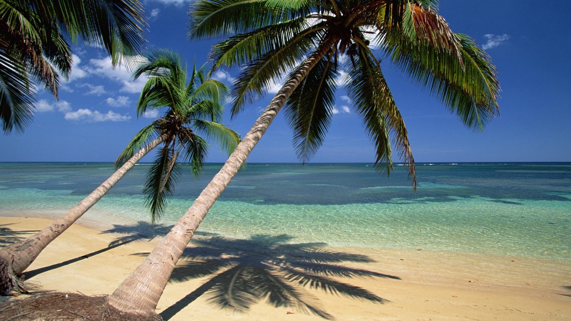 Beach, Sea, Ocean, Dominican Republic vacation, 1920x1080 Full HD Desktop