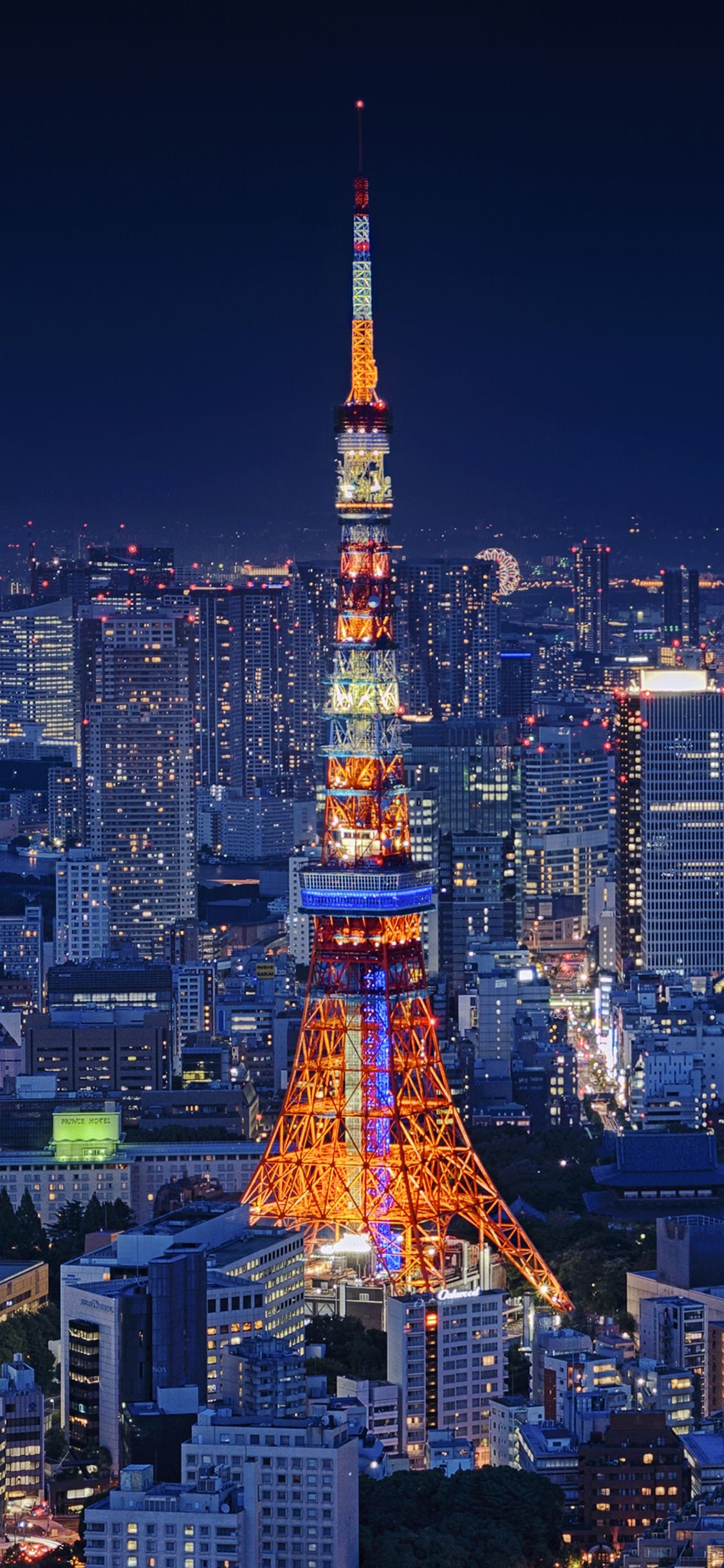 Tokyo Skyline, Urban landscape, Morning serenity, Japanese cityscape, 1130x2440 HD Phone