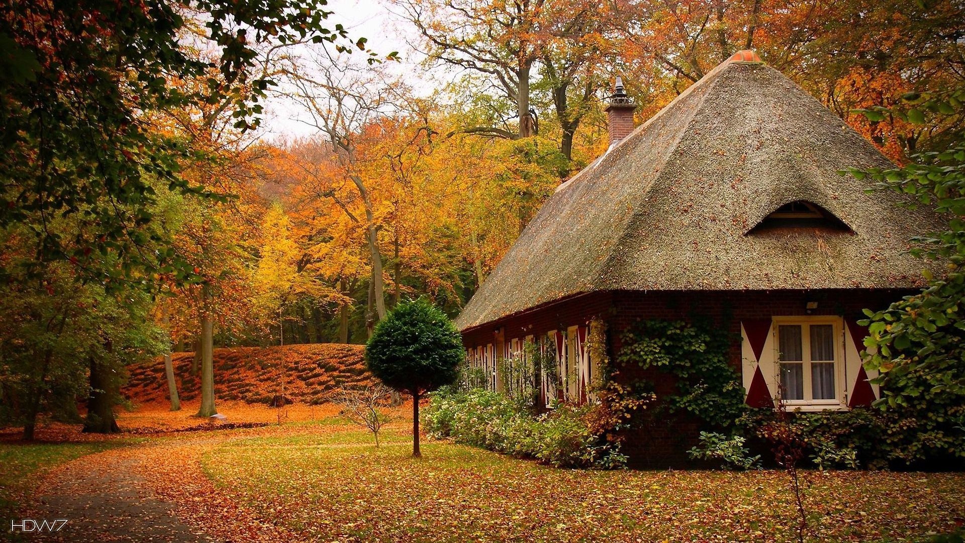 Autumn vibes, Fall scenery, Colorful foliage, Seasonal delight, 1920x1080 Full HD Desktop