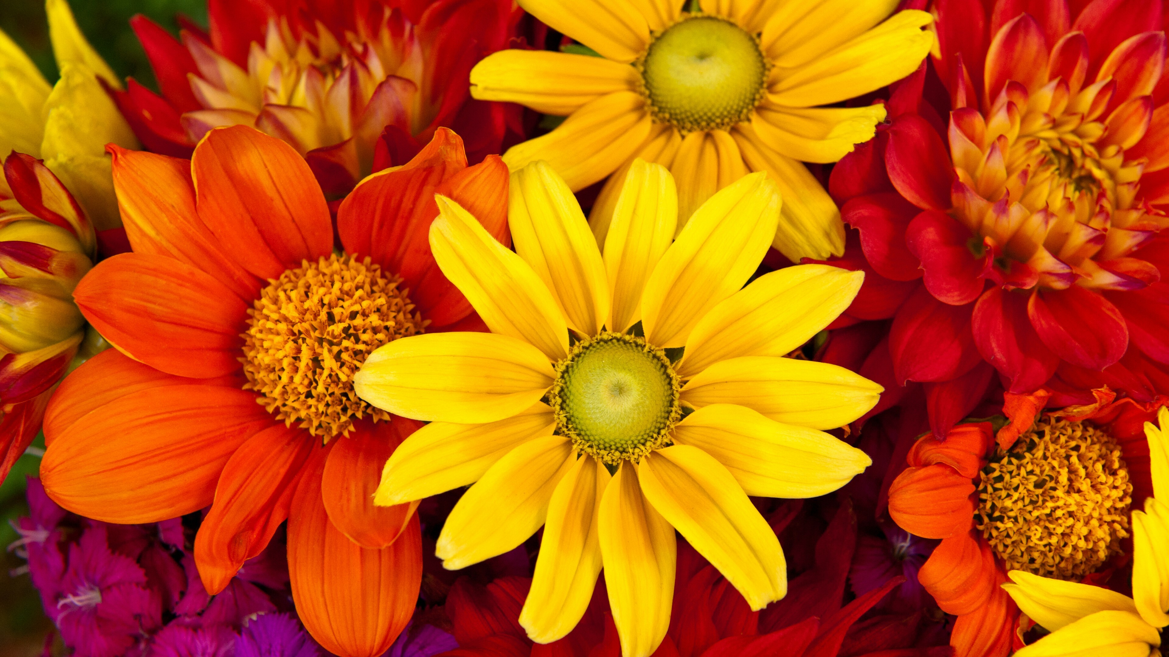 Flower Bouquet: Flowers, Colorful, Petals, Flower Arranging. 3840x2160 4K Wallpaper.