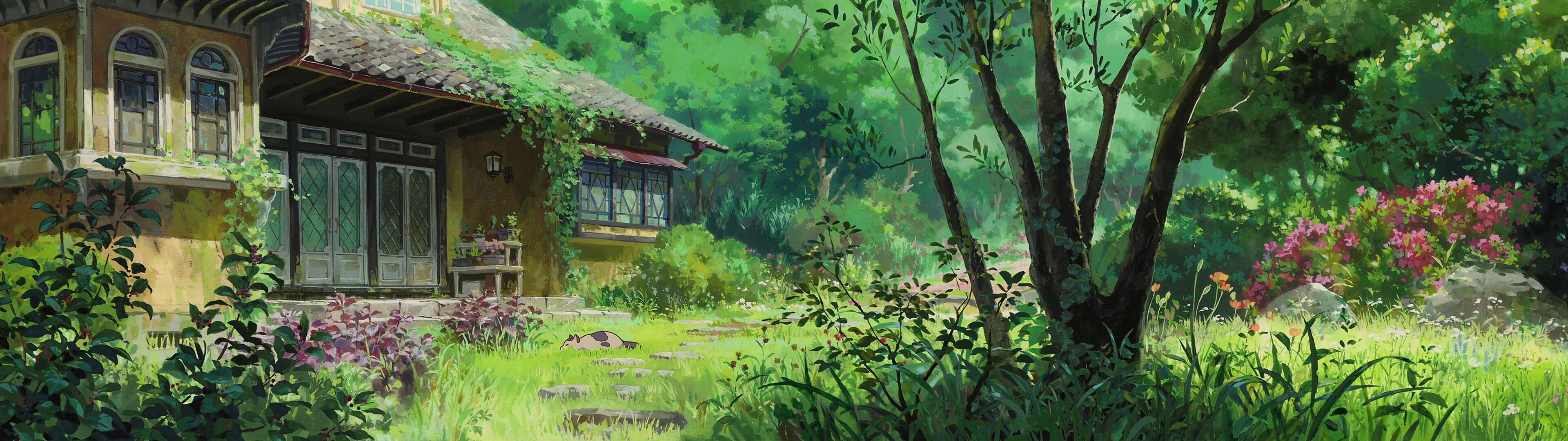 Studio Ghibli: Isao Takahata was a prominent director associated with the company. 3840x1080 Dual Screen Background.