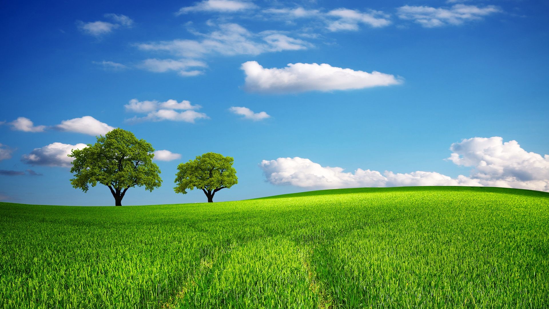Grass and Sky: Green pastures, Open space, Out-of-doors, Path, An extensive area of land. 1920x1080 Full HD Wallpaper.