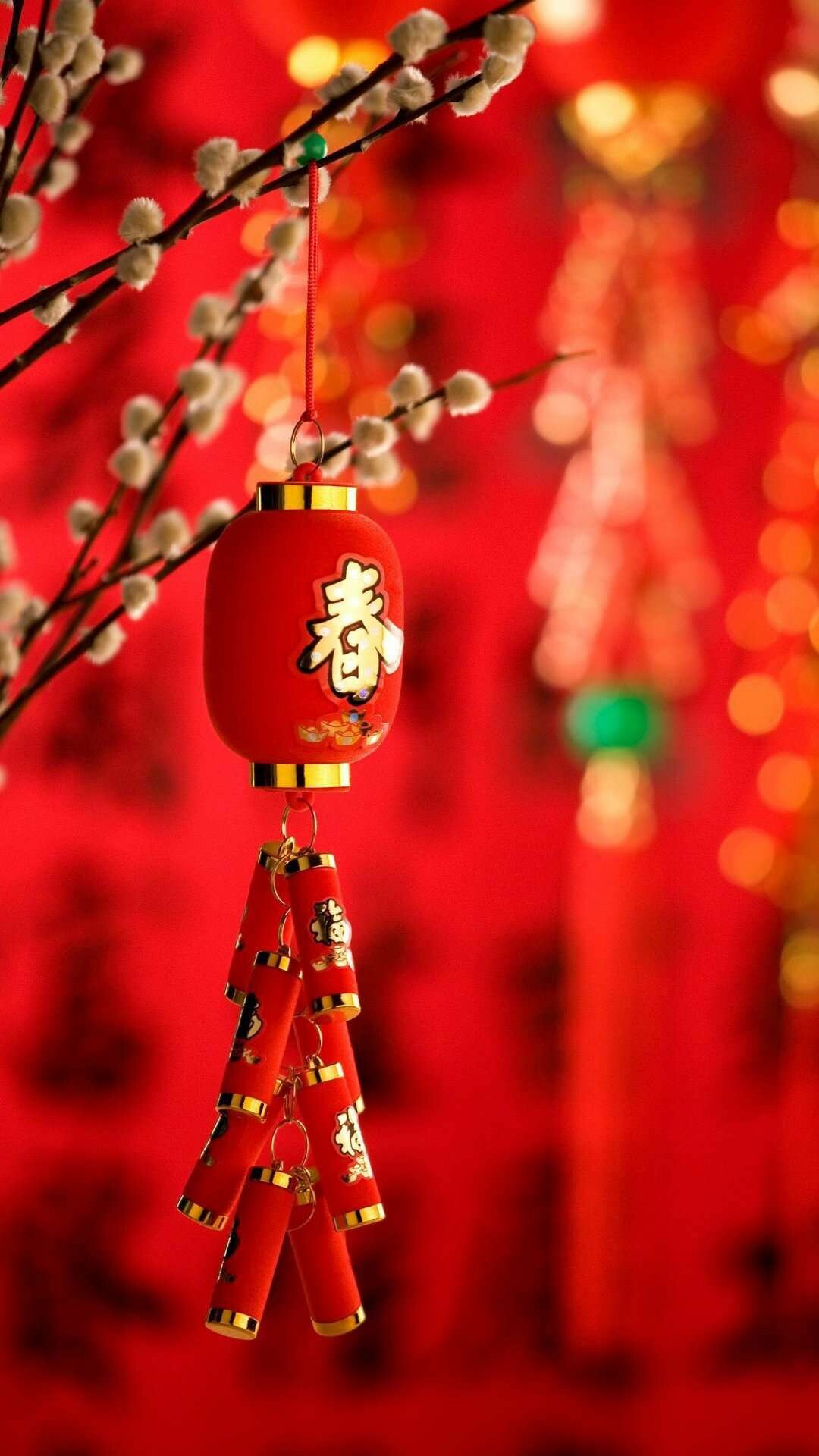 Chinese New Year: Firecrackers are using to scare off evil spirits during the festival. 1080x1920 Full HD Wallpaper.