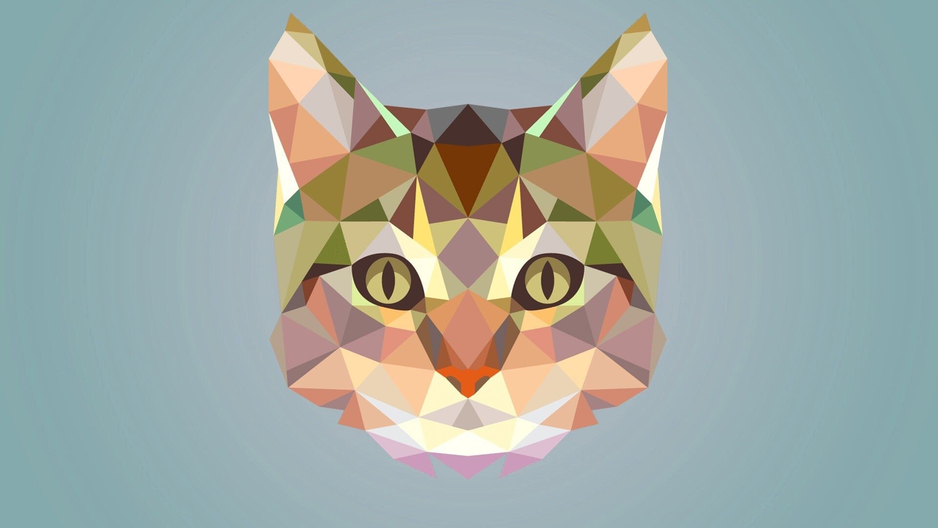 Geometric Animal: Low polygonal cat, Poly triangle and frame vector drawing. 1920x1080 Full HD Background.