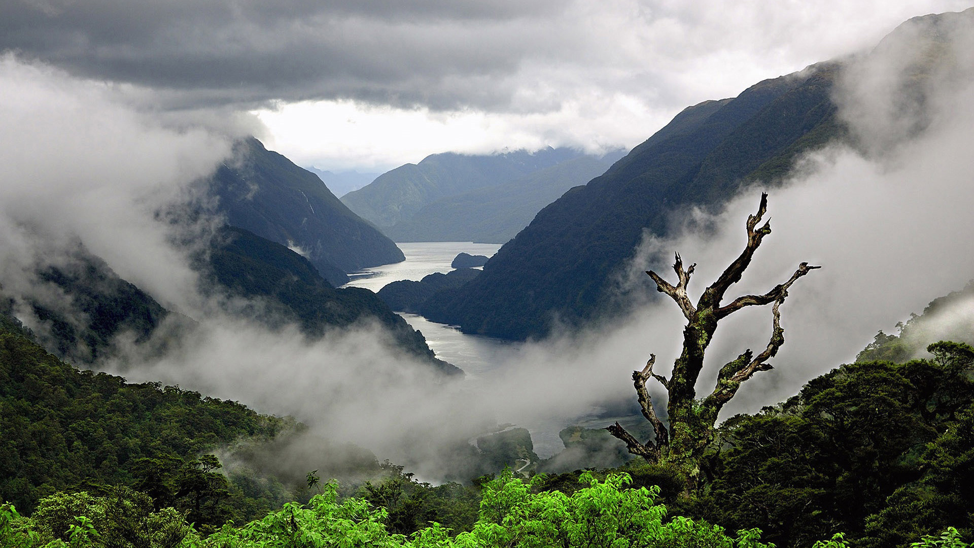 Fiordland National Park, Doubtful Sound, Untouched wilderness, Nature's symphony, 1920x1080 Full HD Desktop