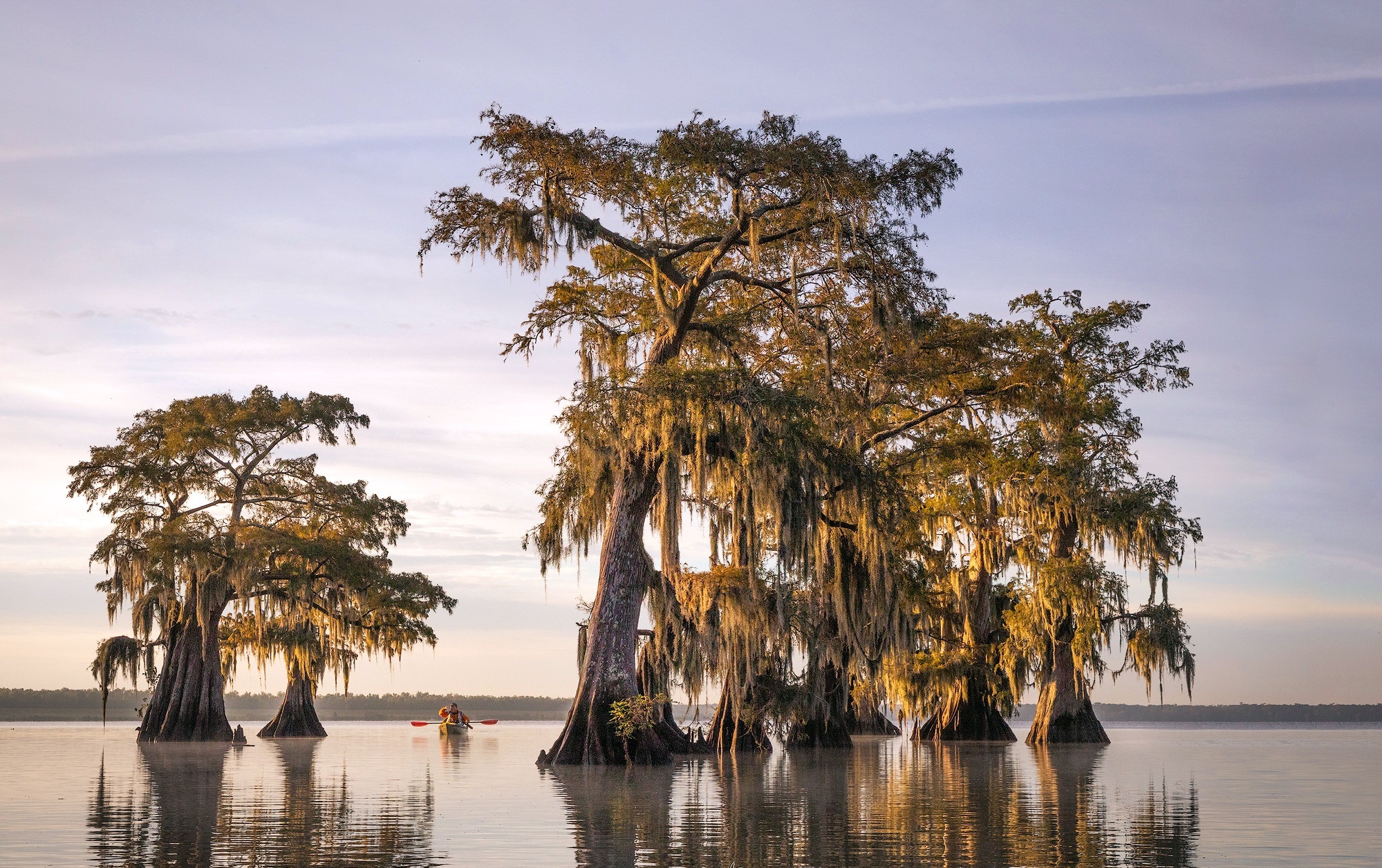 United States, Caddo Lake, Louisiana, Background, 2000x1260 HD Desktop
