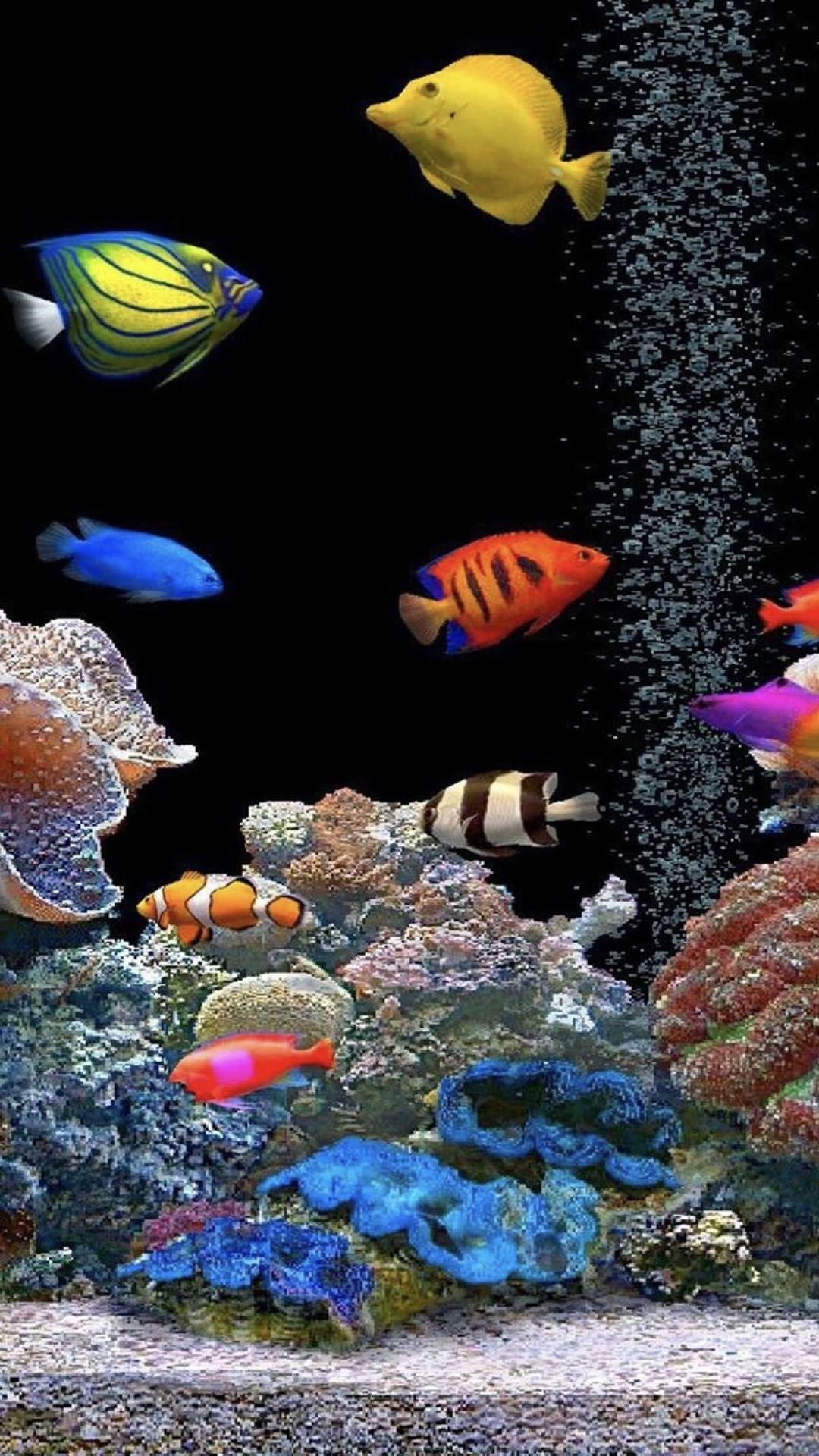 Aquarium screensaver, Relaxing underwater visuals, Serene atmosphere, Tranquil aquatic experience, Nature's calm, 1080x1920 Full HD Phone