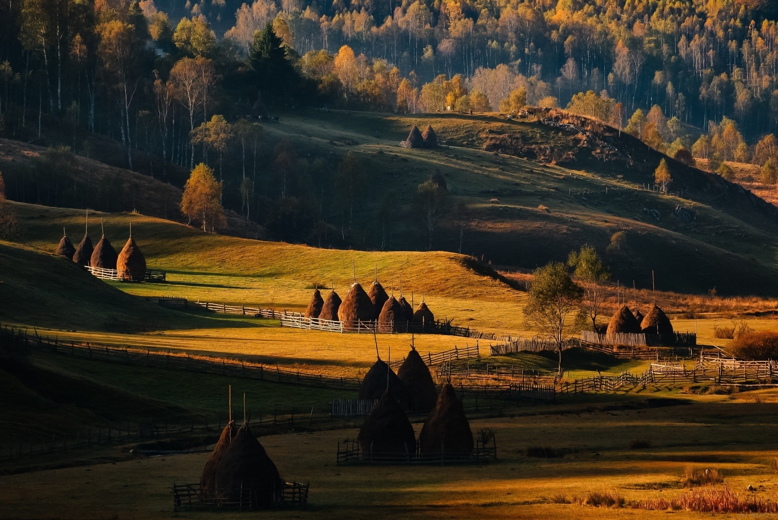 Hill Romania agriculture, Fence trees countryside, 2500x1680 HD Desktop